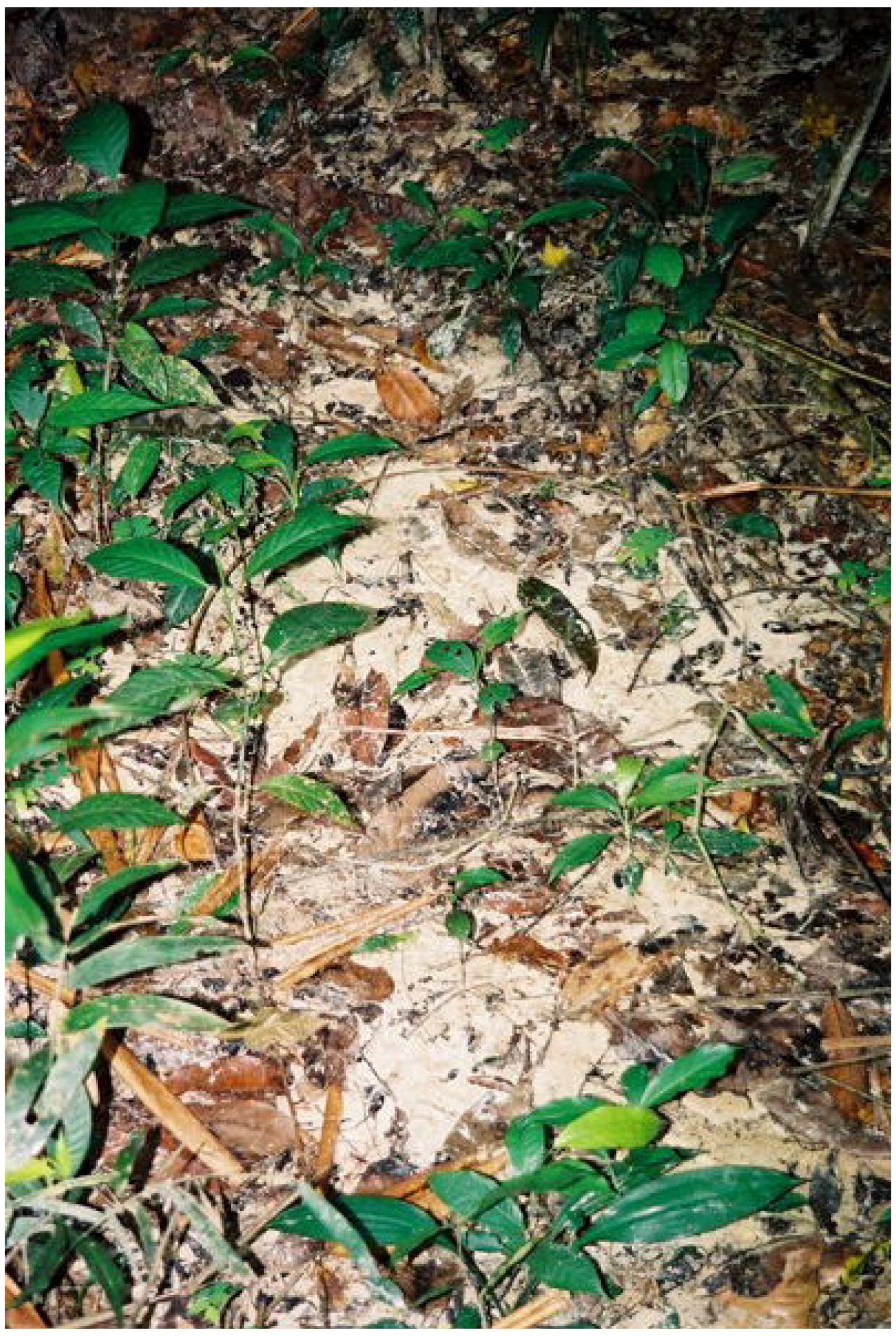 Agriculture 03 00660 g007
