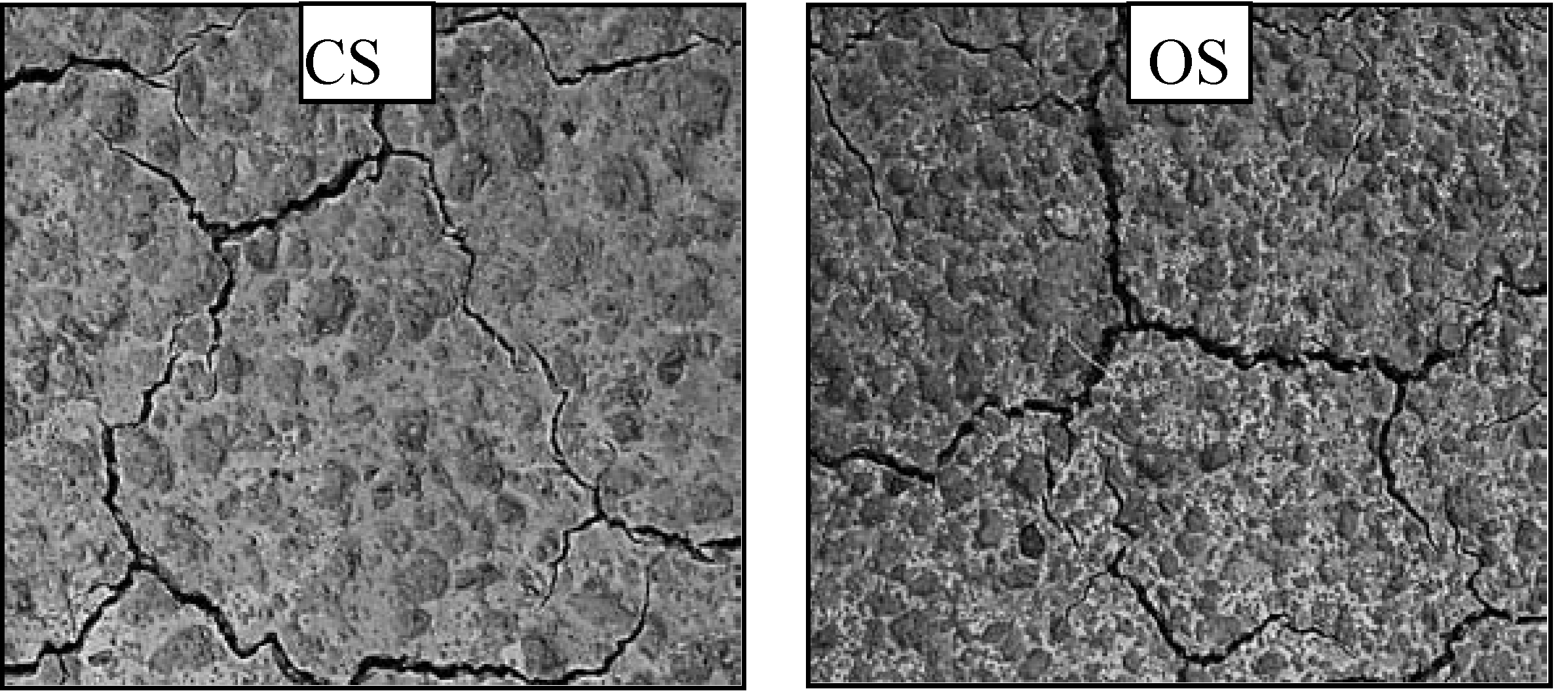 Agriculture 03 00726 g006