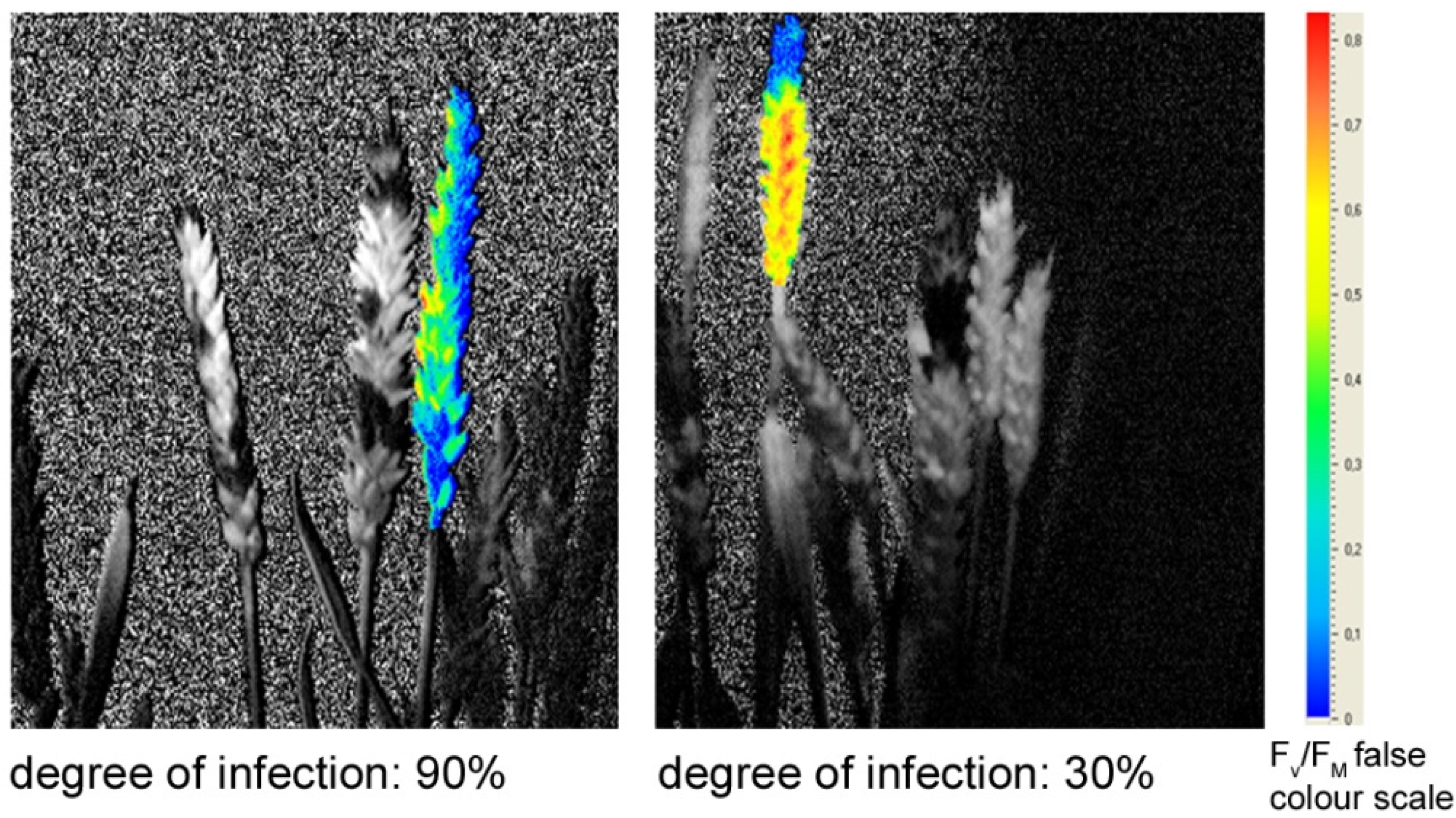 Agriculture 04 00032 g004