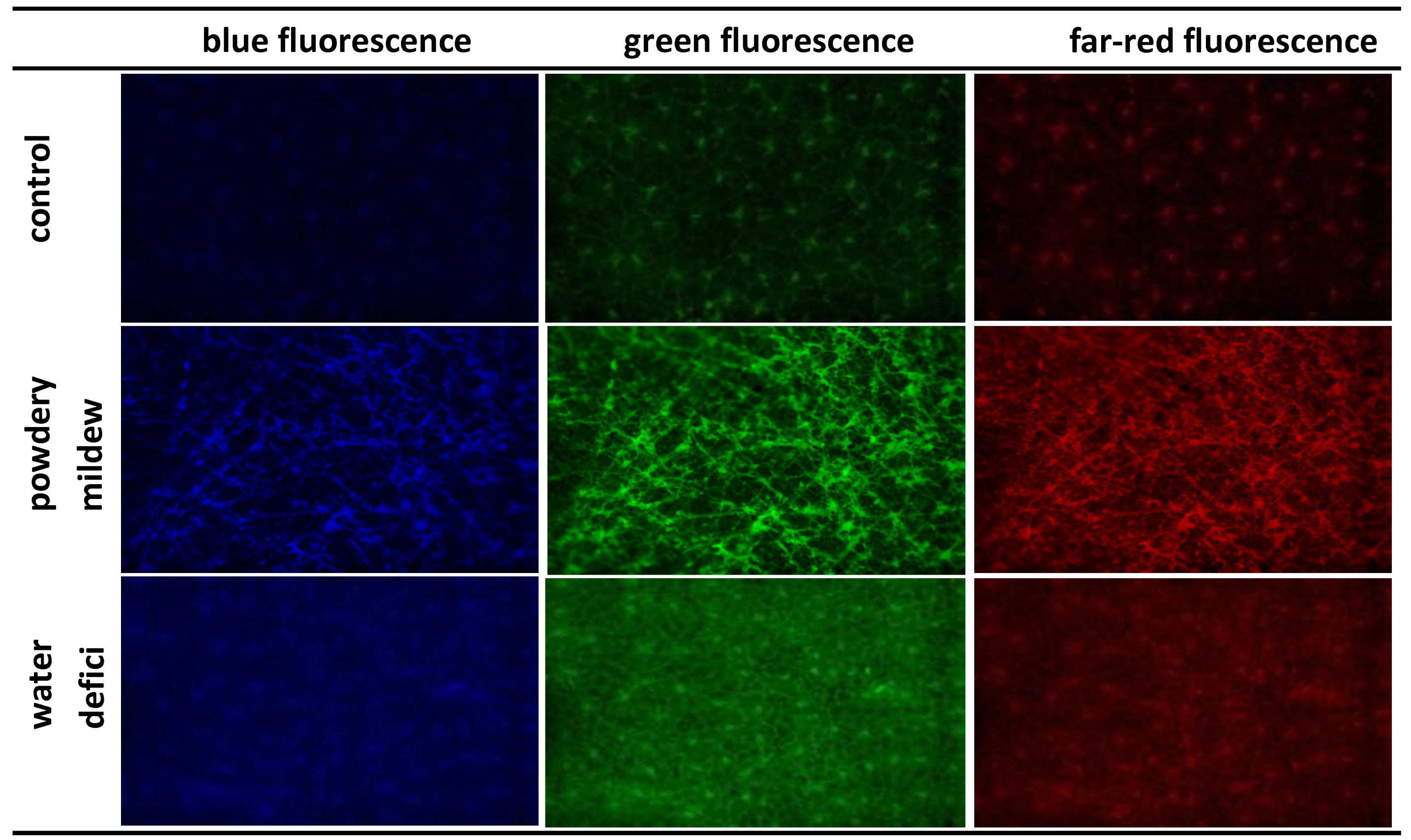 Agriculture 04 00058 g005 550
