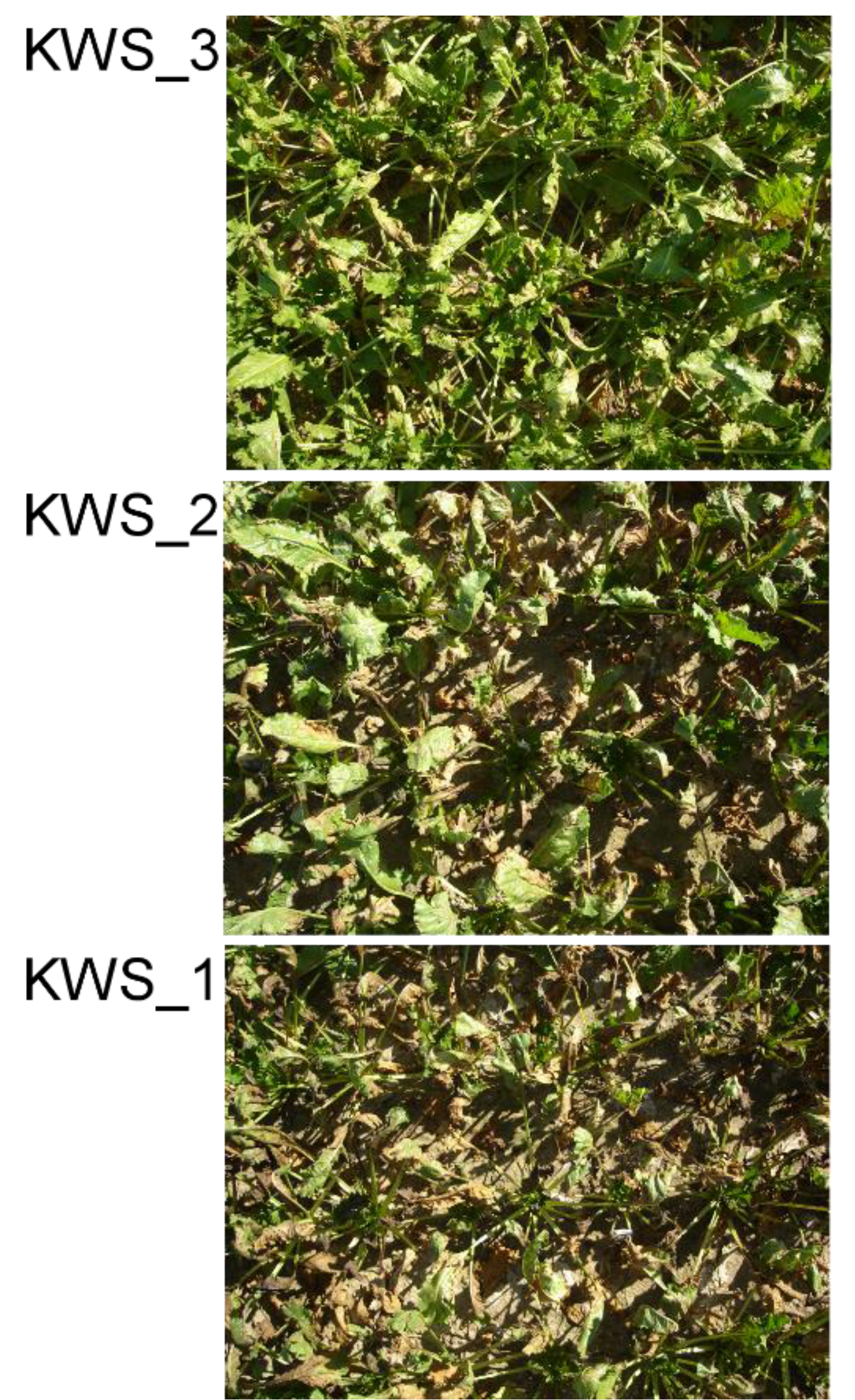 Agriculture 04 00147 g001