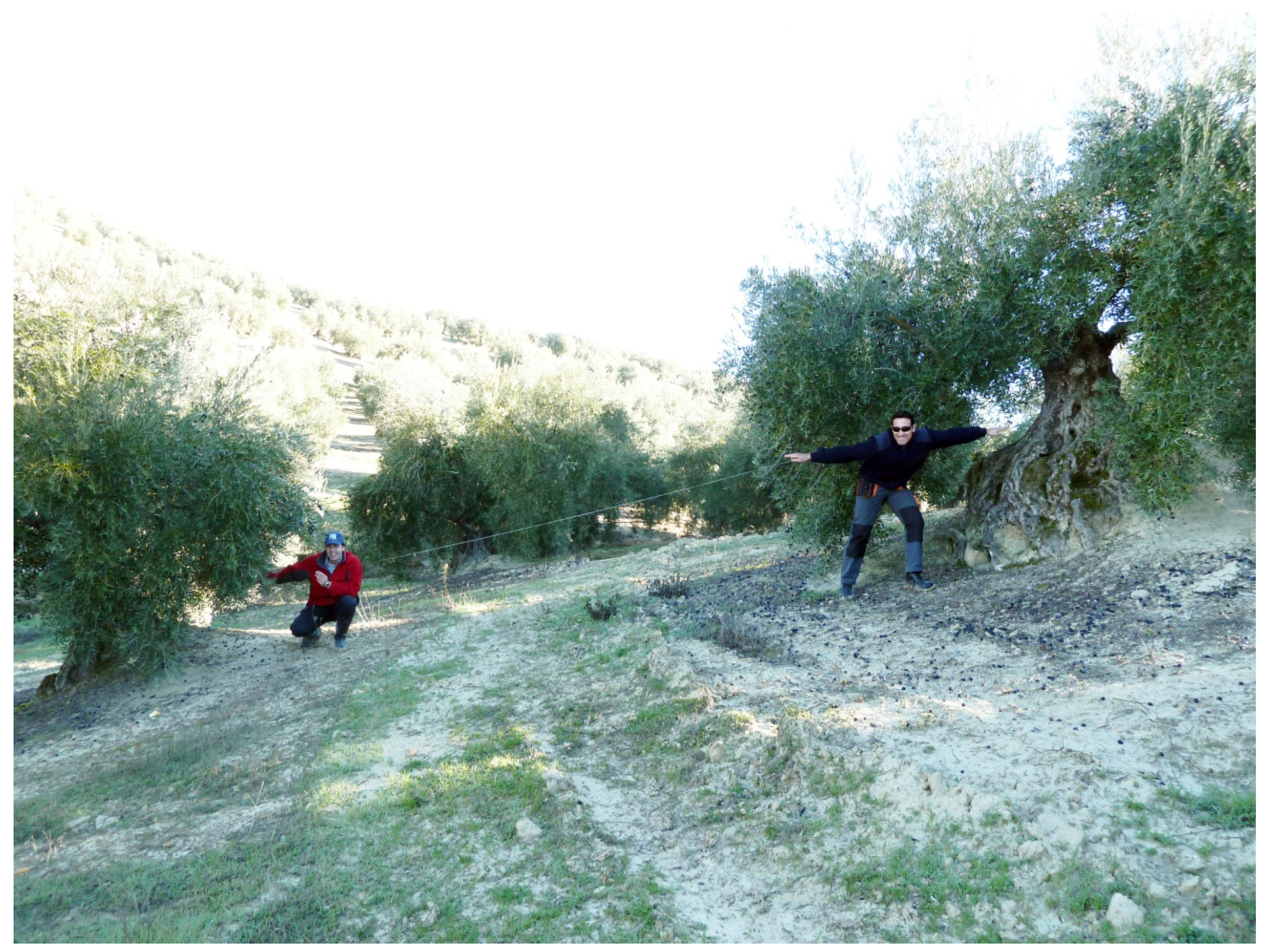 Agriculture 04 00170 g003