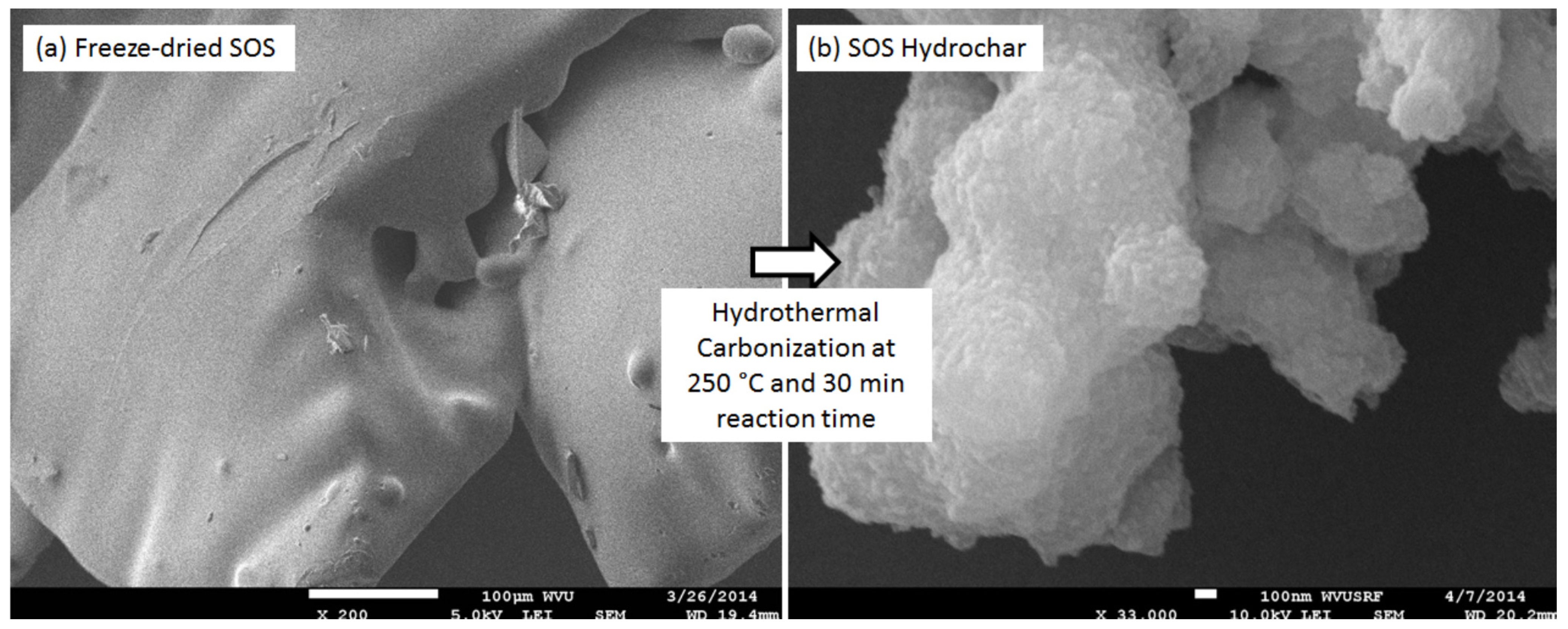 Agriculture 04 00239 g004 550