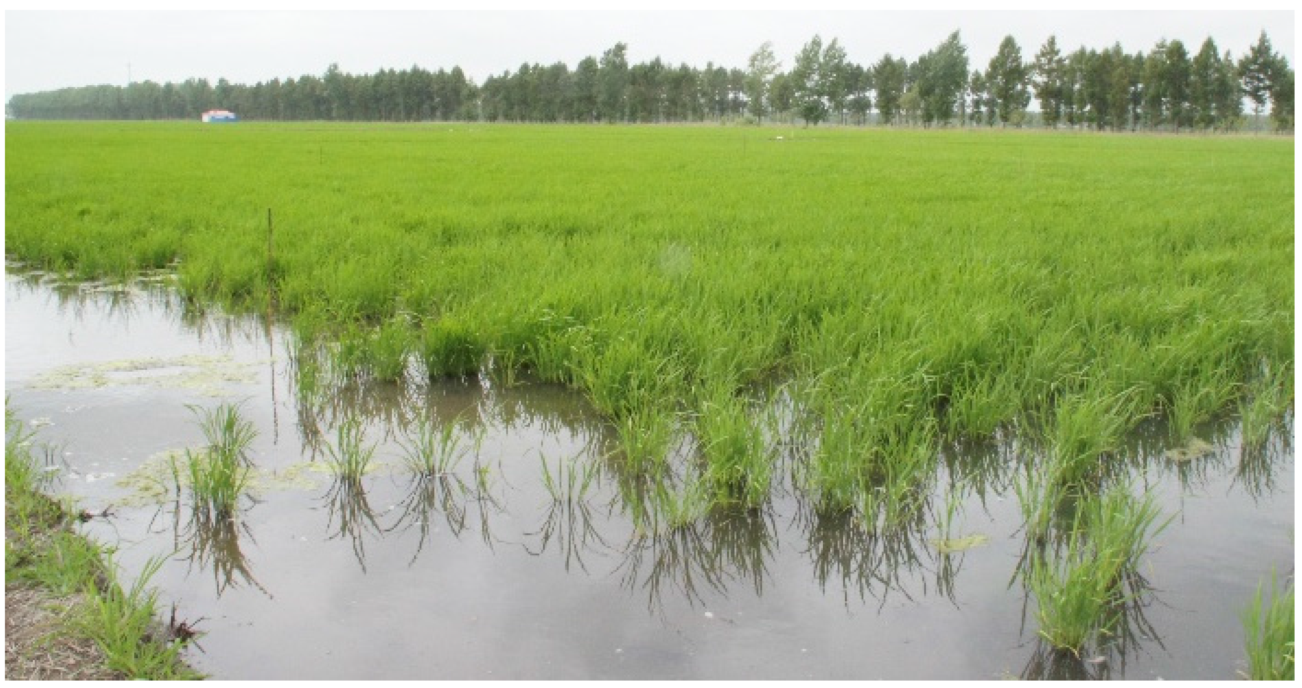 Agriculture 05 00538 g002