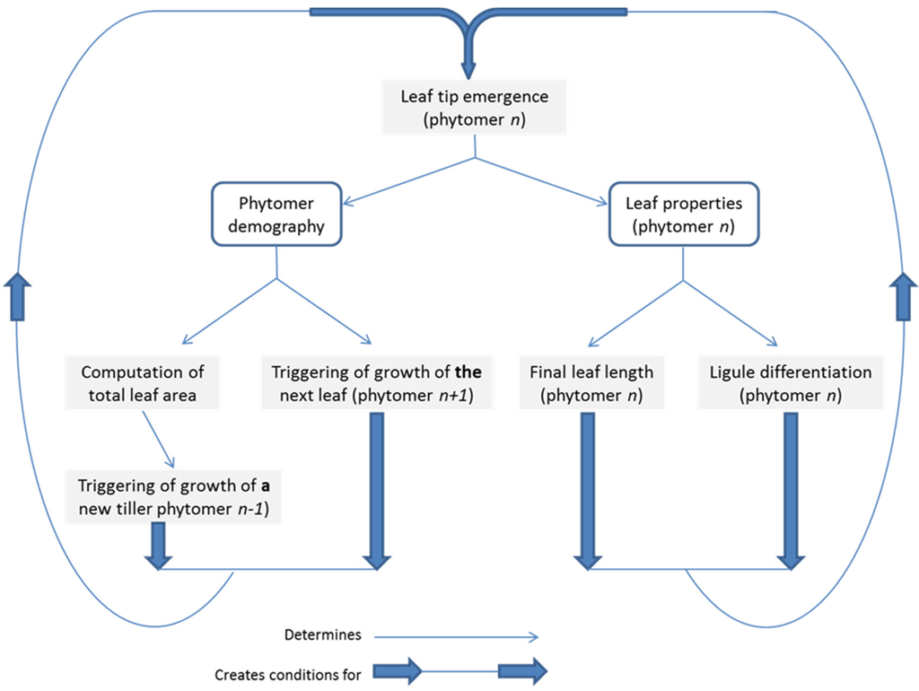 Agriculture Free Full Text Leaf Length Variation In Perennial Forage Grasses Html