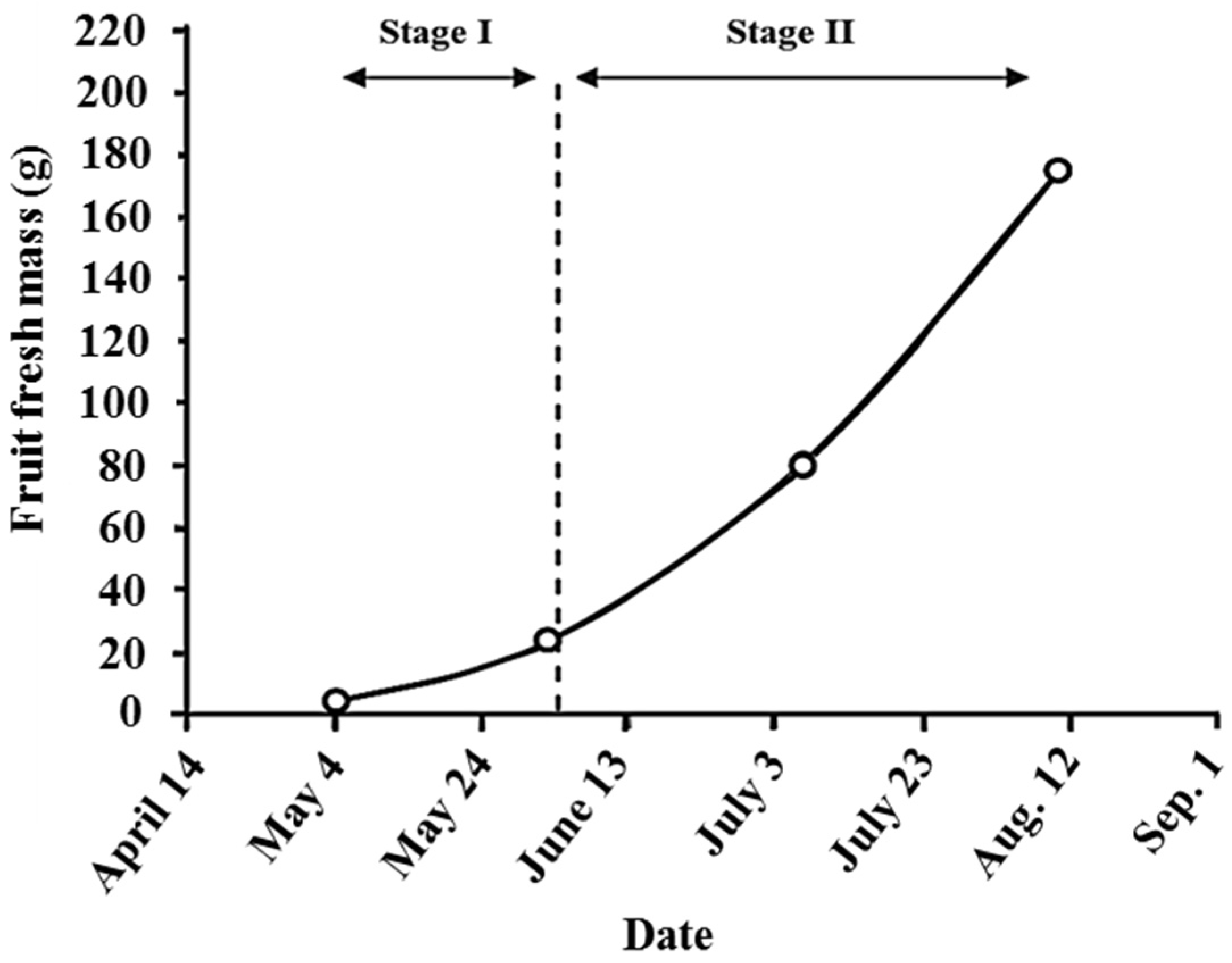 Agriculture 05 01003 g009 1024