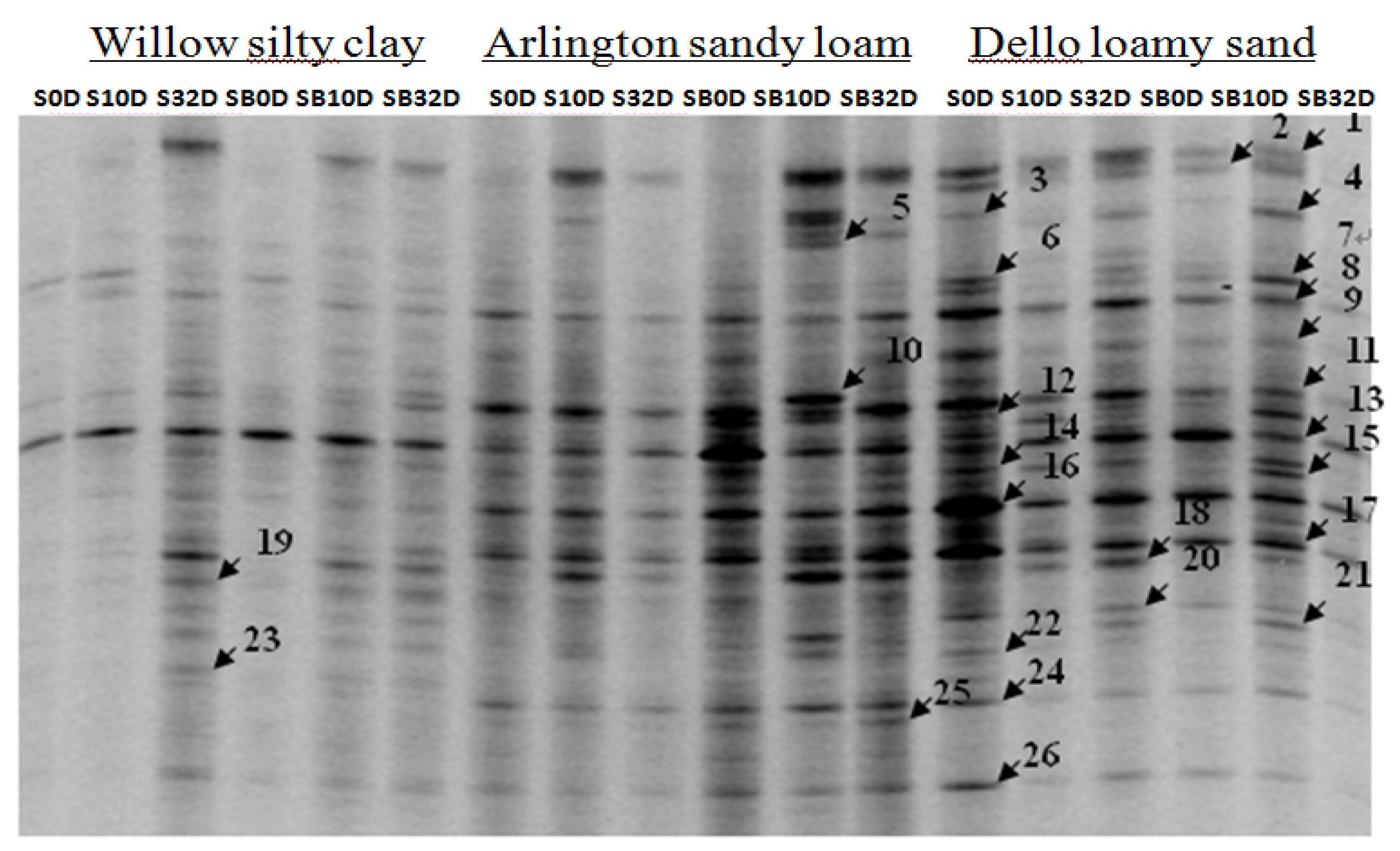 Agriculture 06 00002 g002