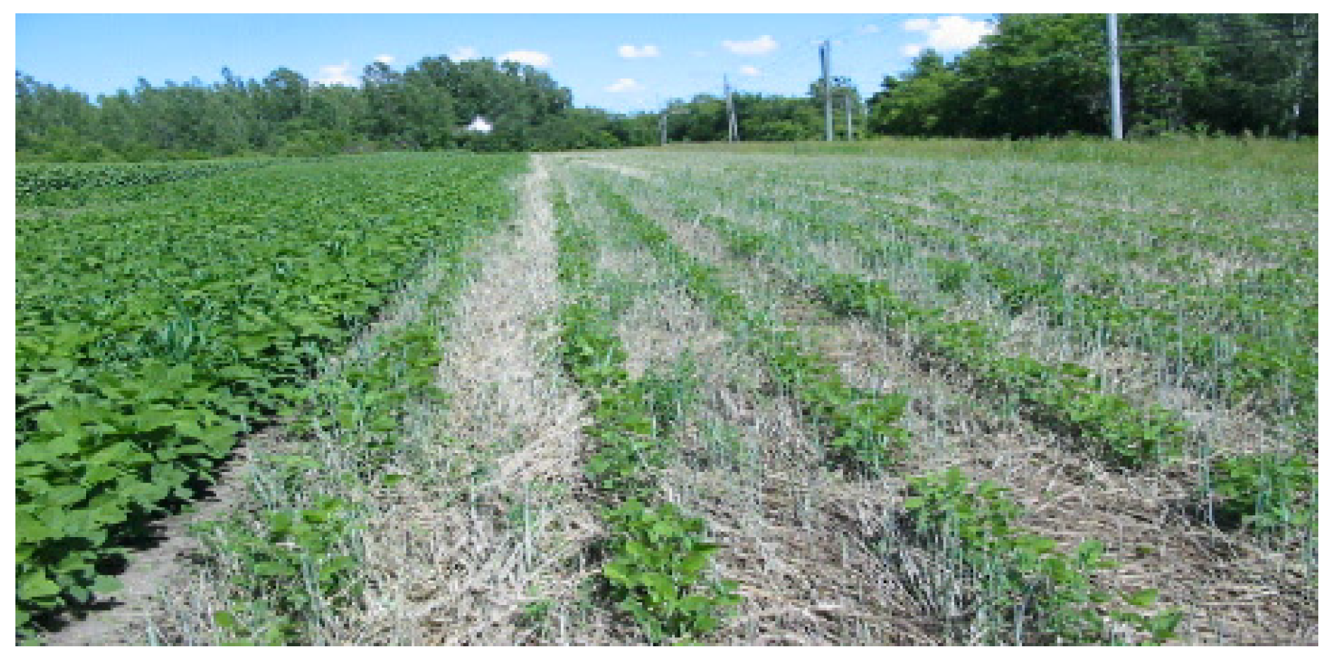 Agriculture 07 00036 g002