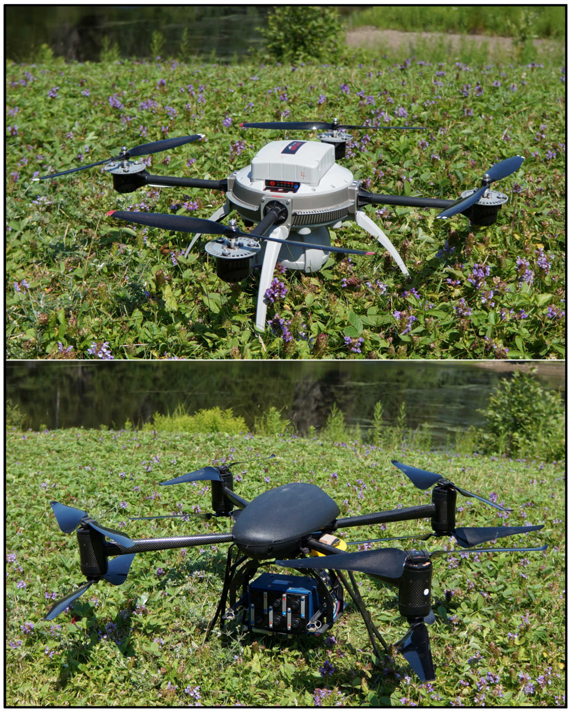 Agriculture 07 00069 g005