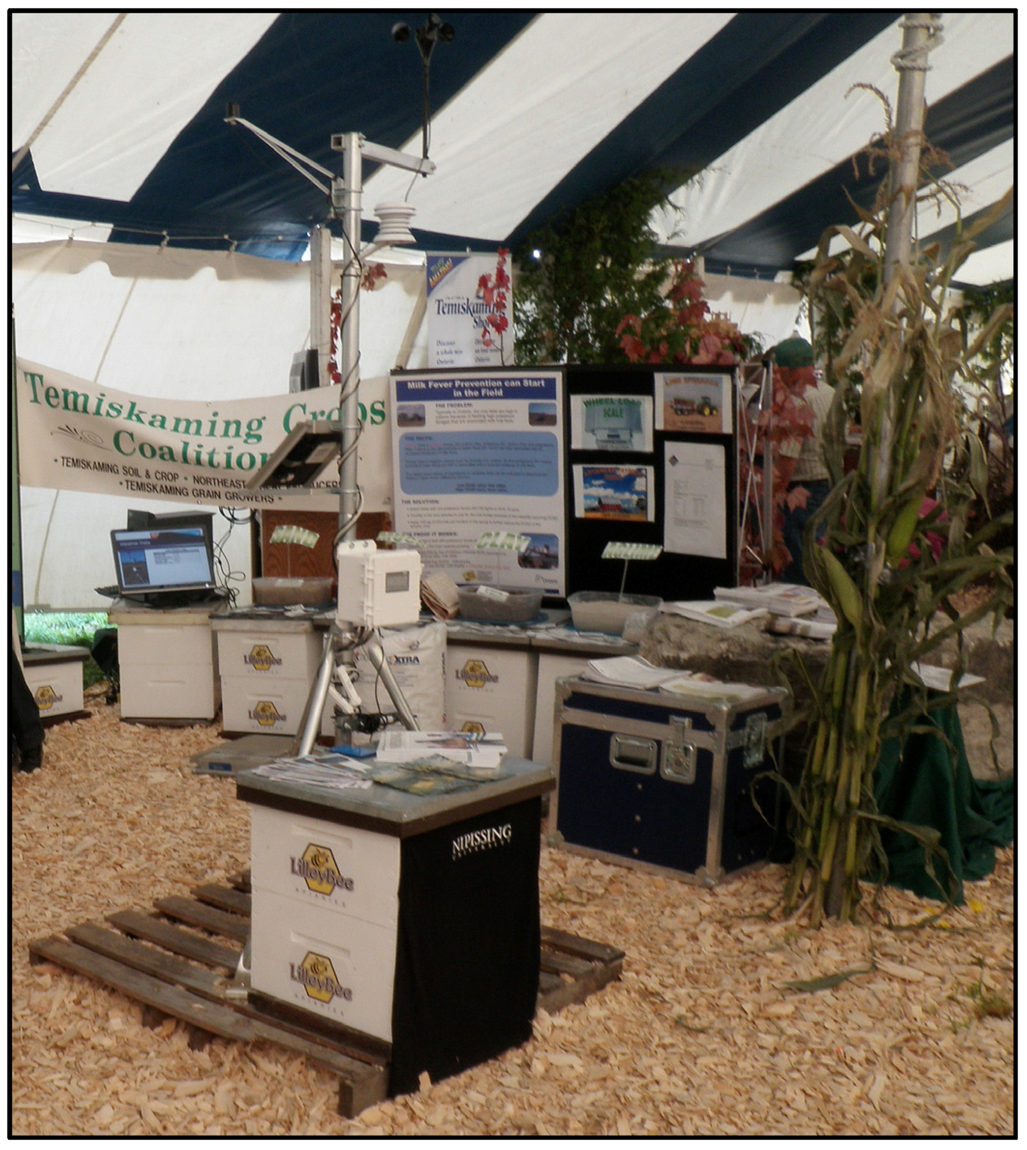 Agriculture 07 00069 g009