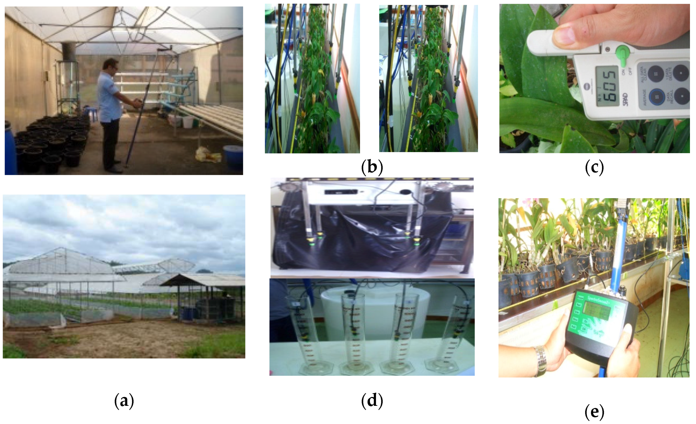 Agriculture 07 00087 g001 550