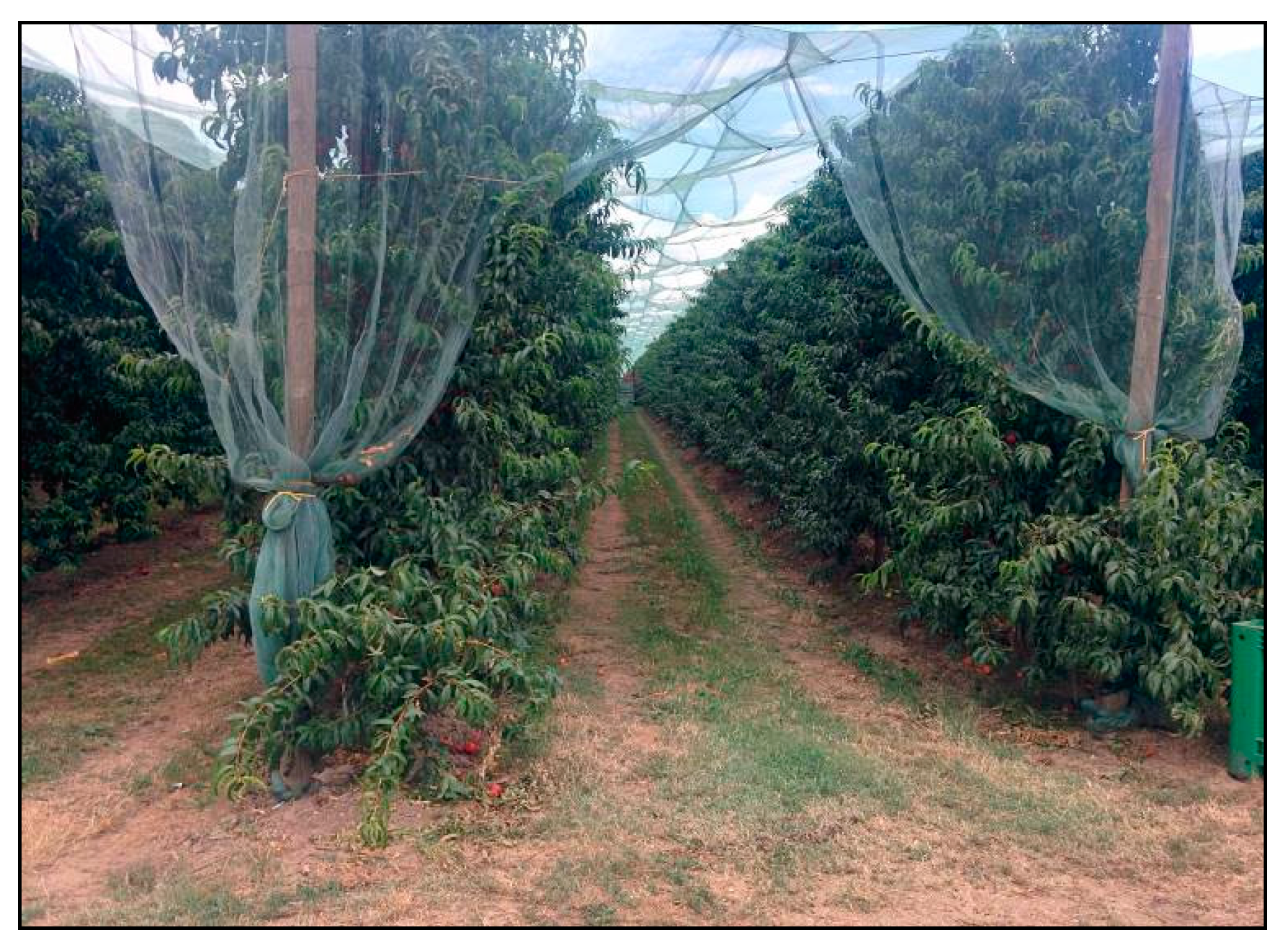 Agriculture 07 00092 g002 550