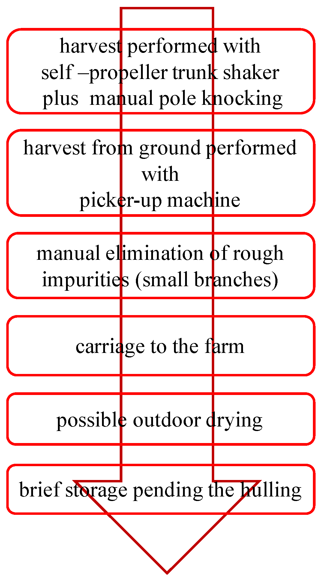 Almond Processing Flow Chart