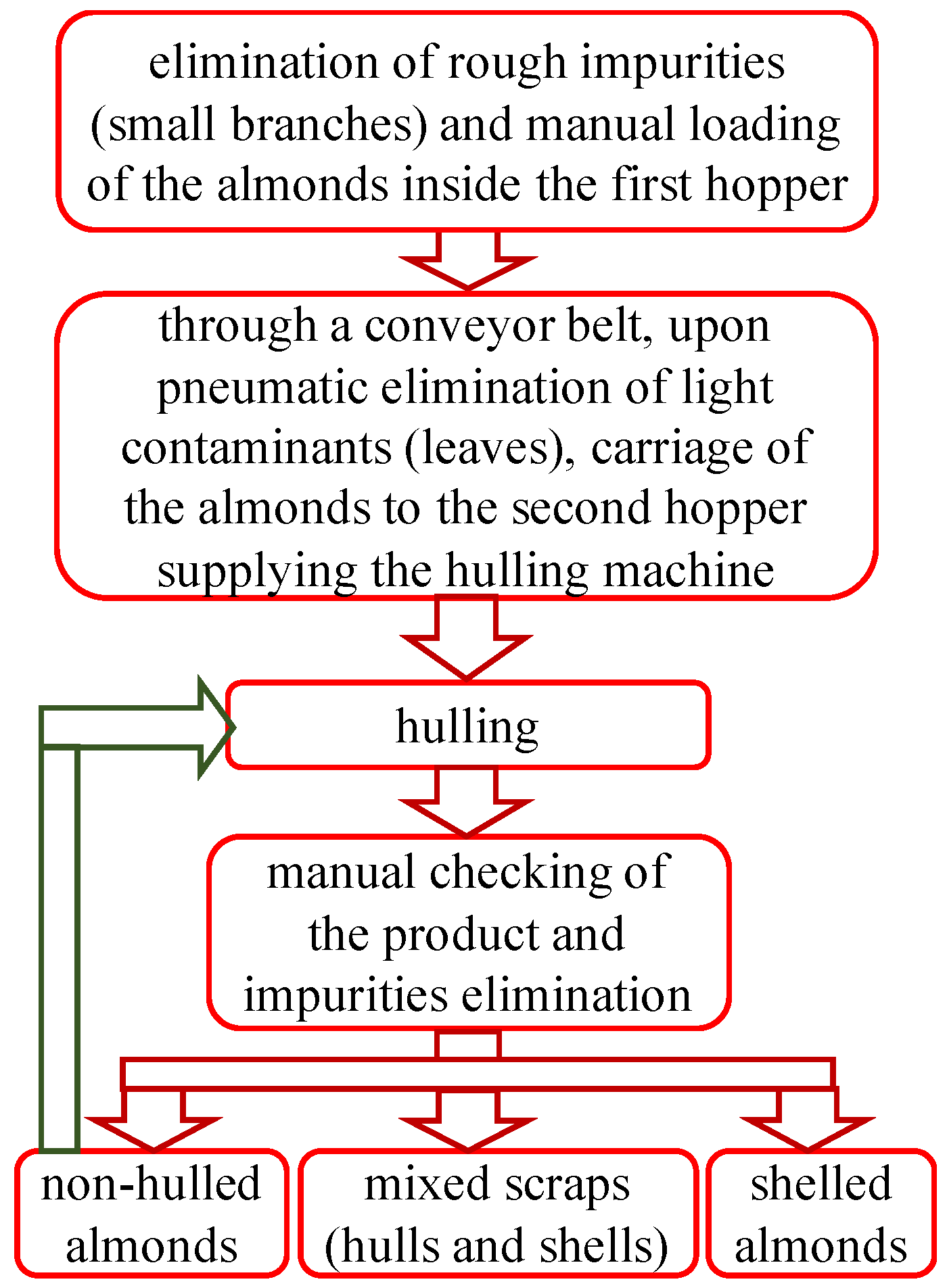 Almond Processing Flow Chart