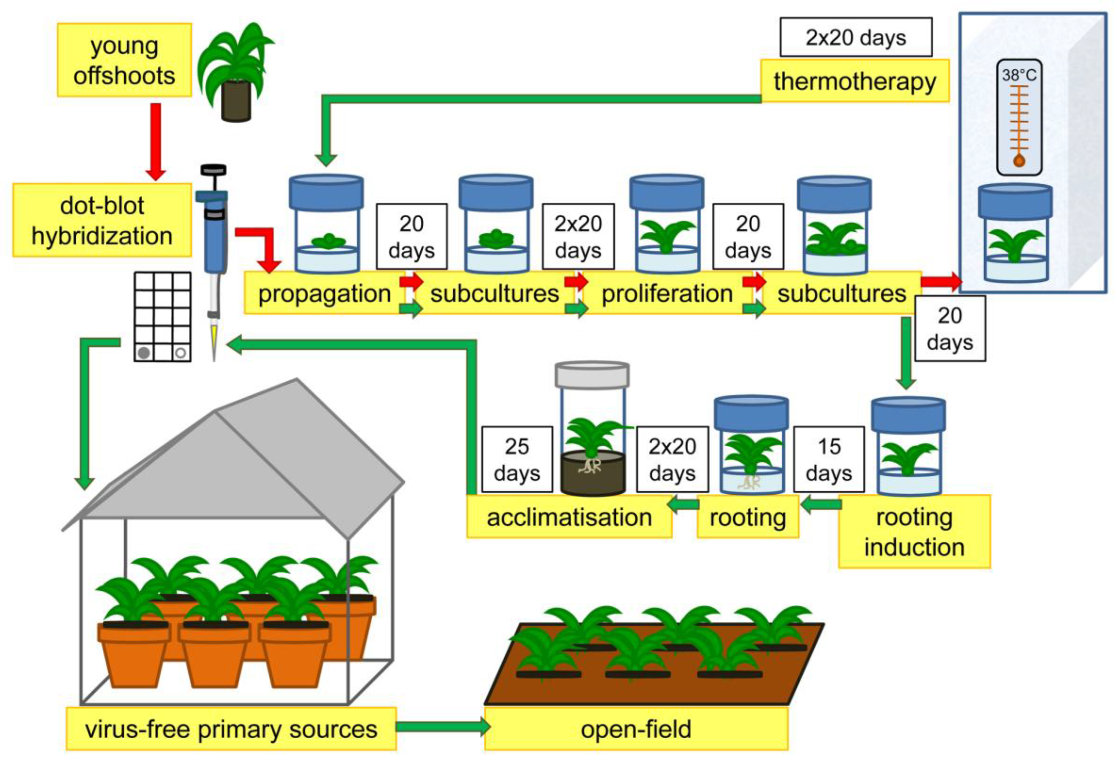 Agriculture 08 00036 g002 550