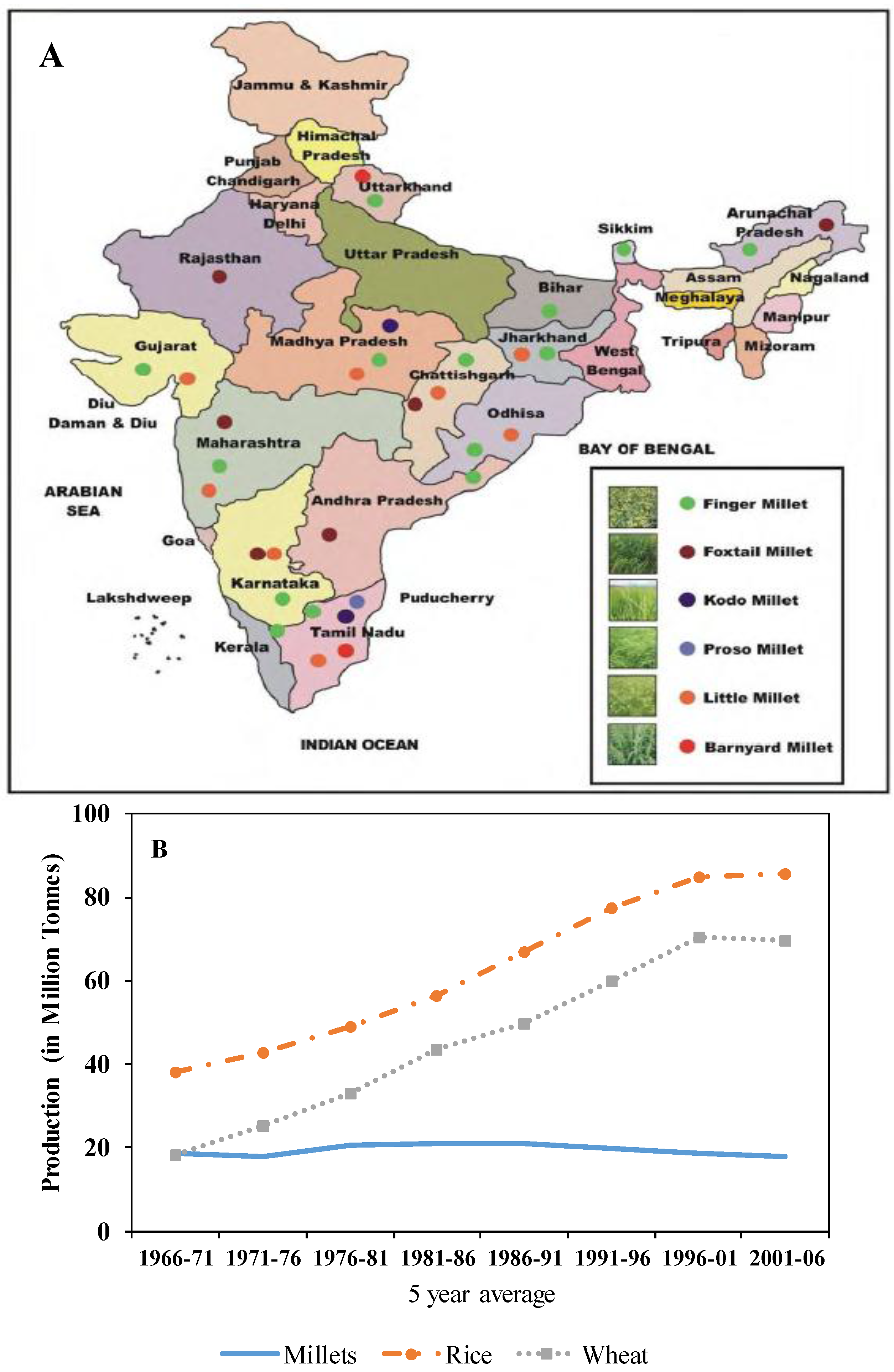 Agriculture Free FullText Helping Agribusinesses—Small Millets