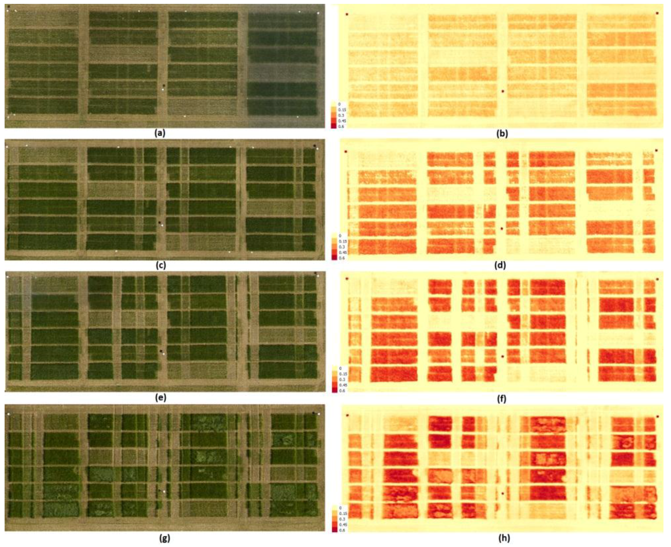 Agriculture 08 00070 g003