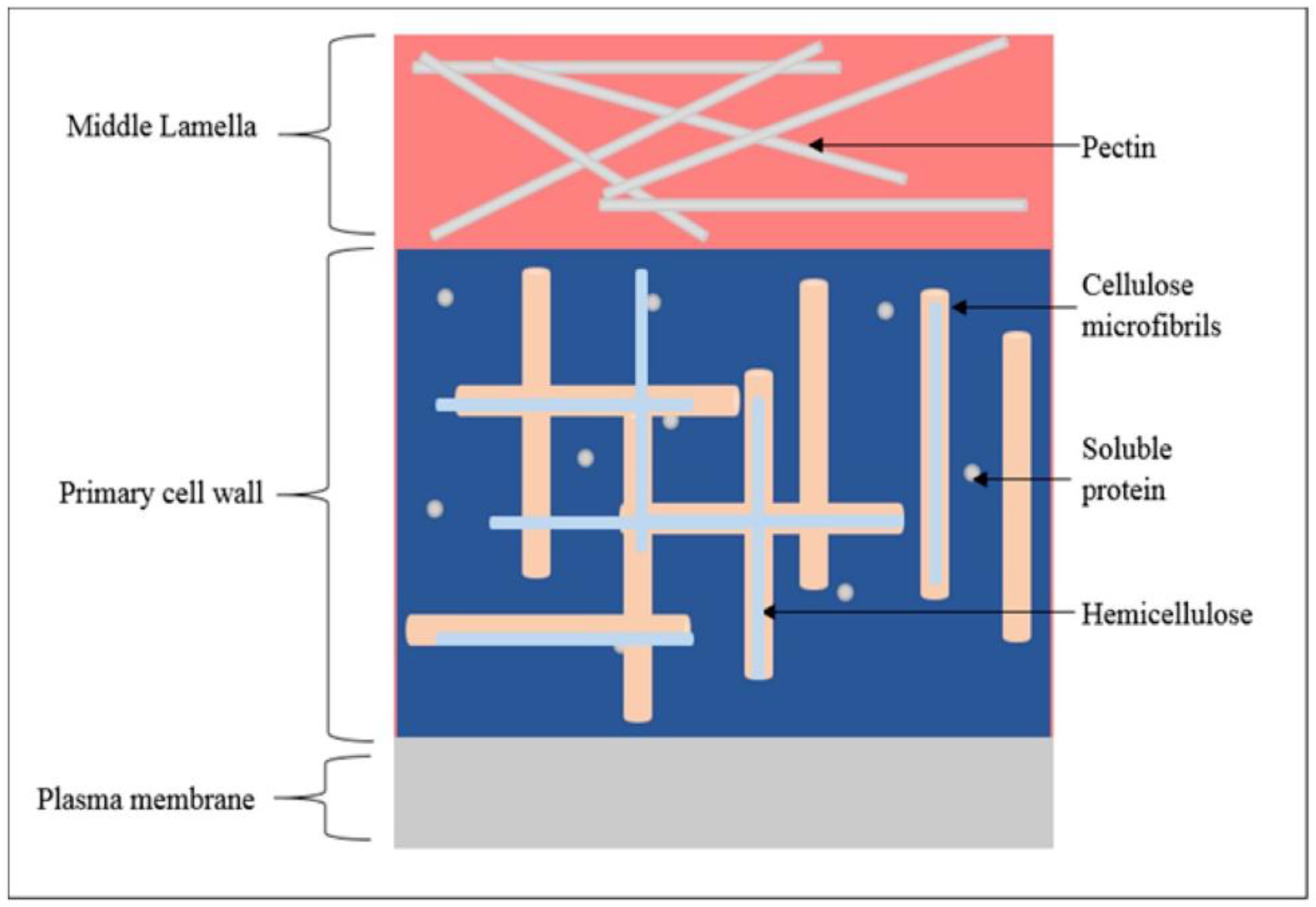 Agriculture 08 00076 g001