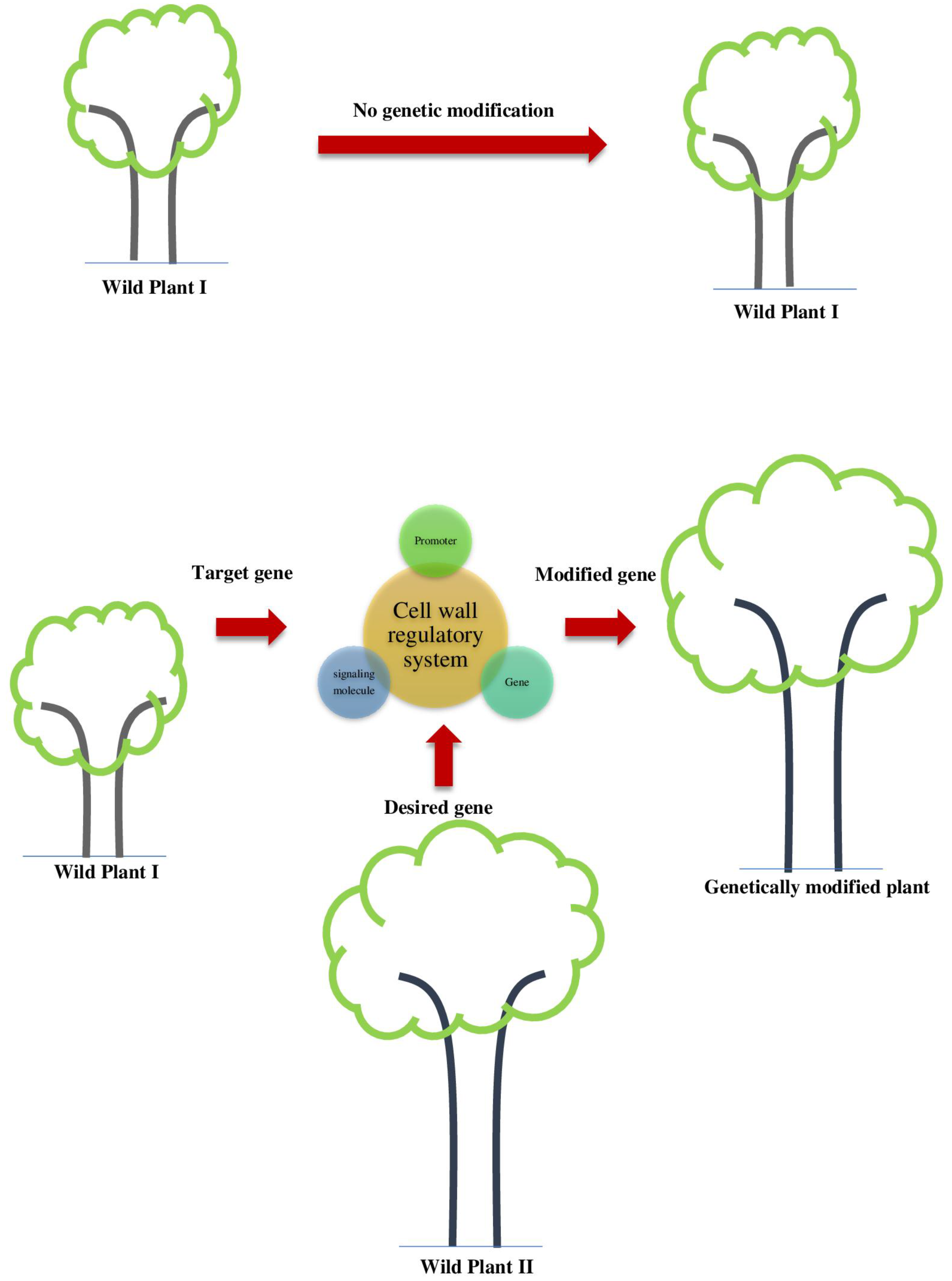 Agriculture 08 00076 g005