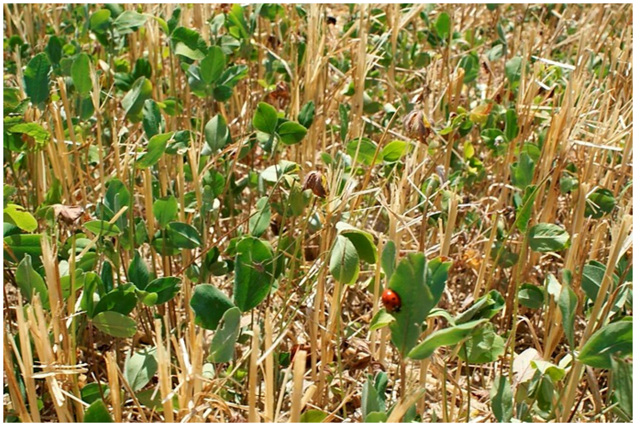 Agriculture 08 00080 g004 Agriculture 08 00080 g004