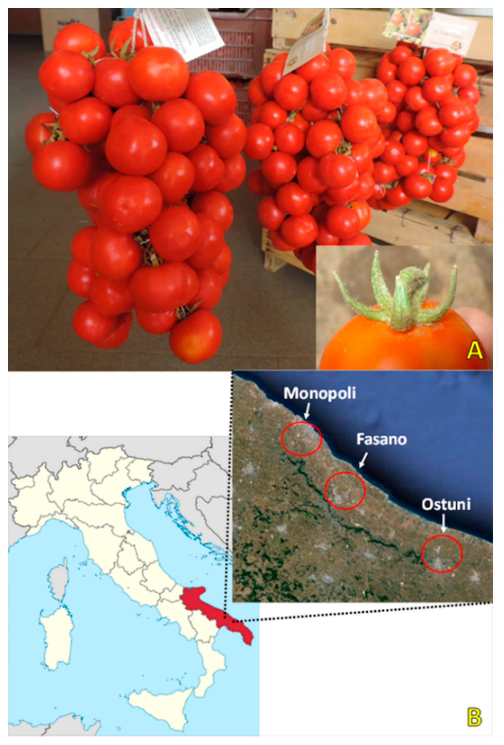 Agriculture 08 00083 g001