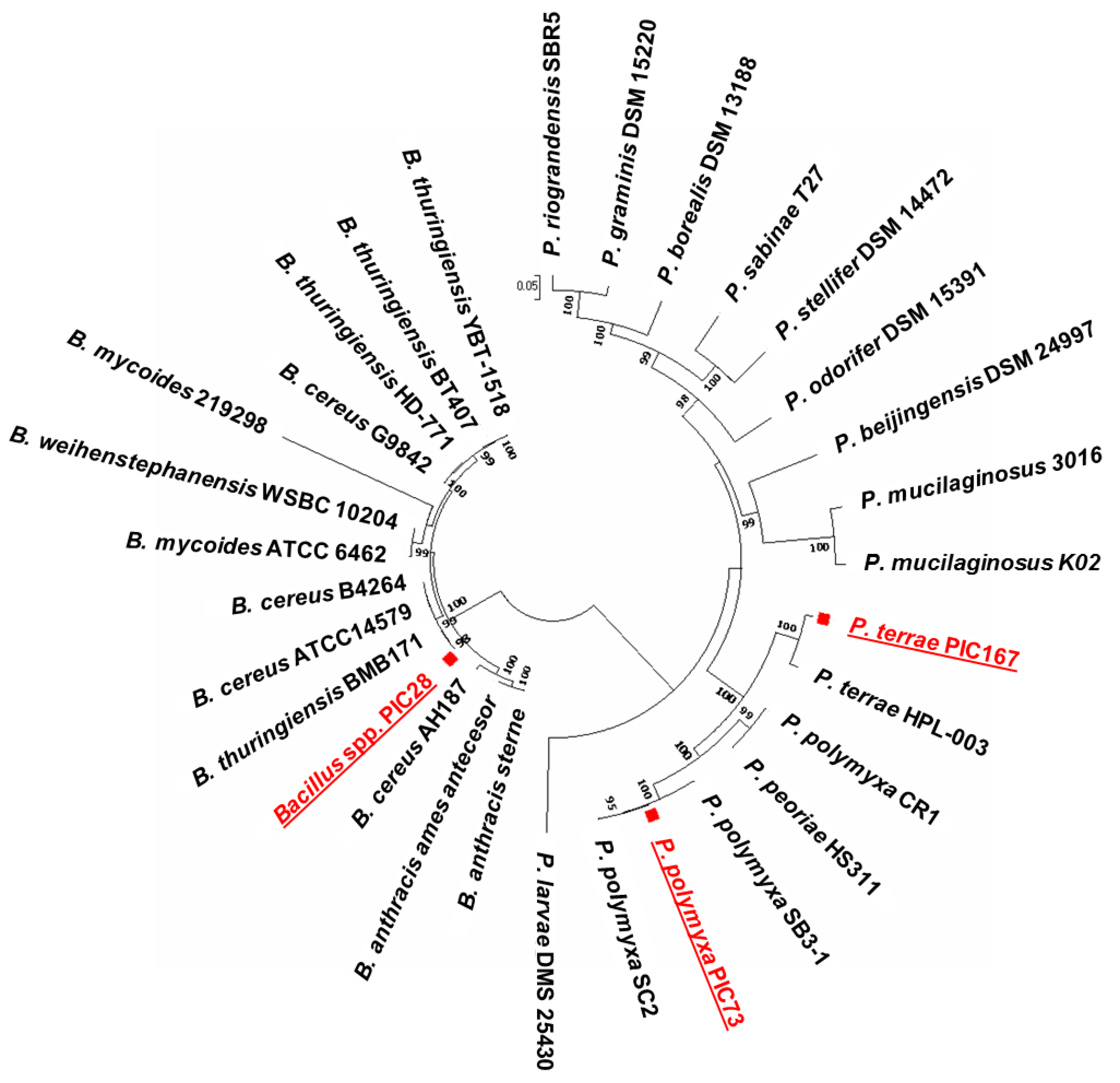 Agriculture 08 00090 g001 Agriculture 08 00090 g001
