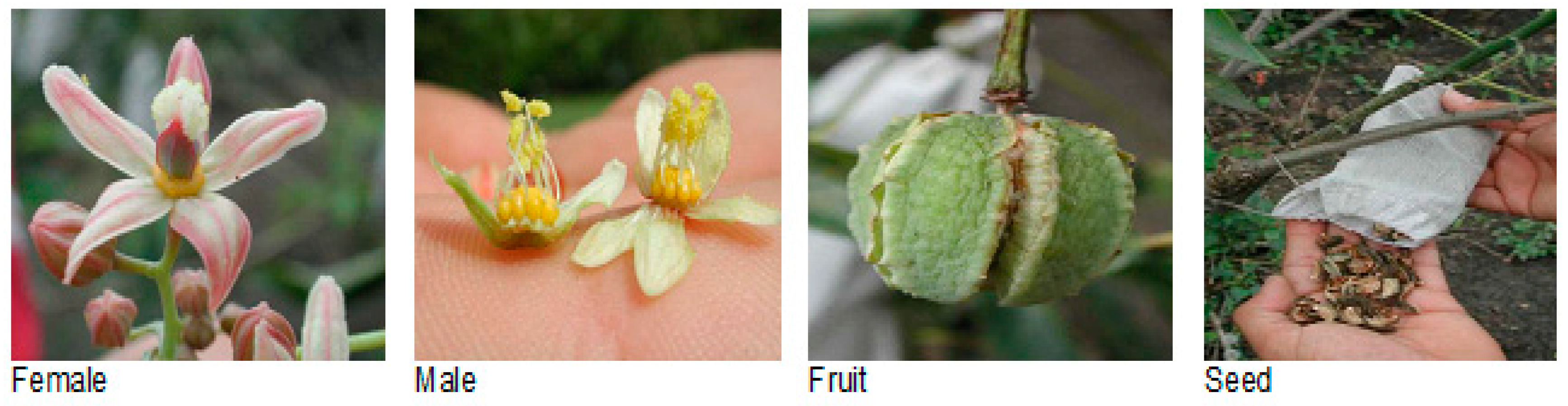 Agriculture 08 00095 g002