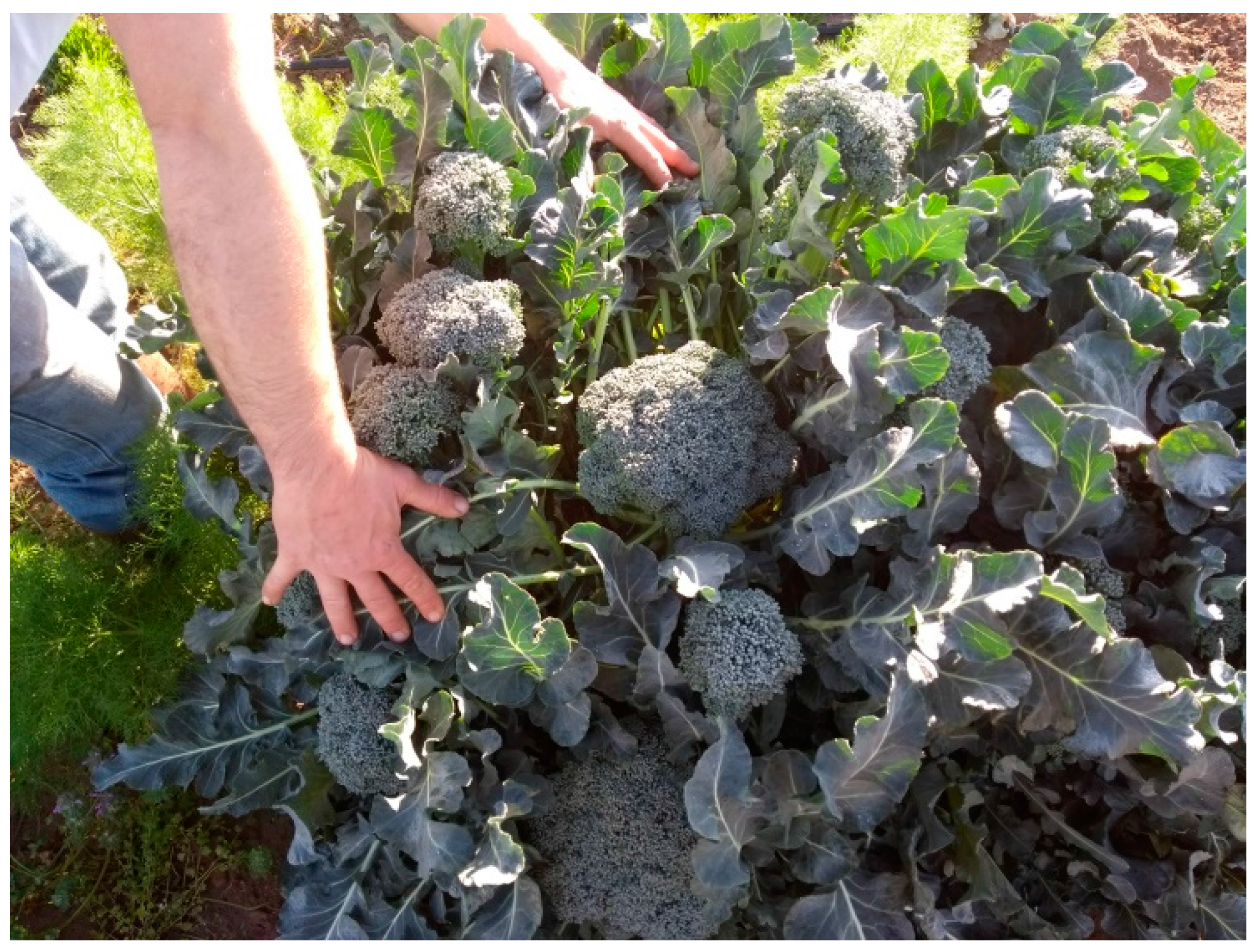 Agriculture 08 00105 g001 550