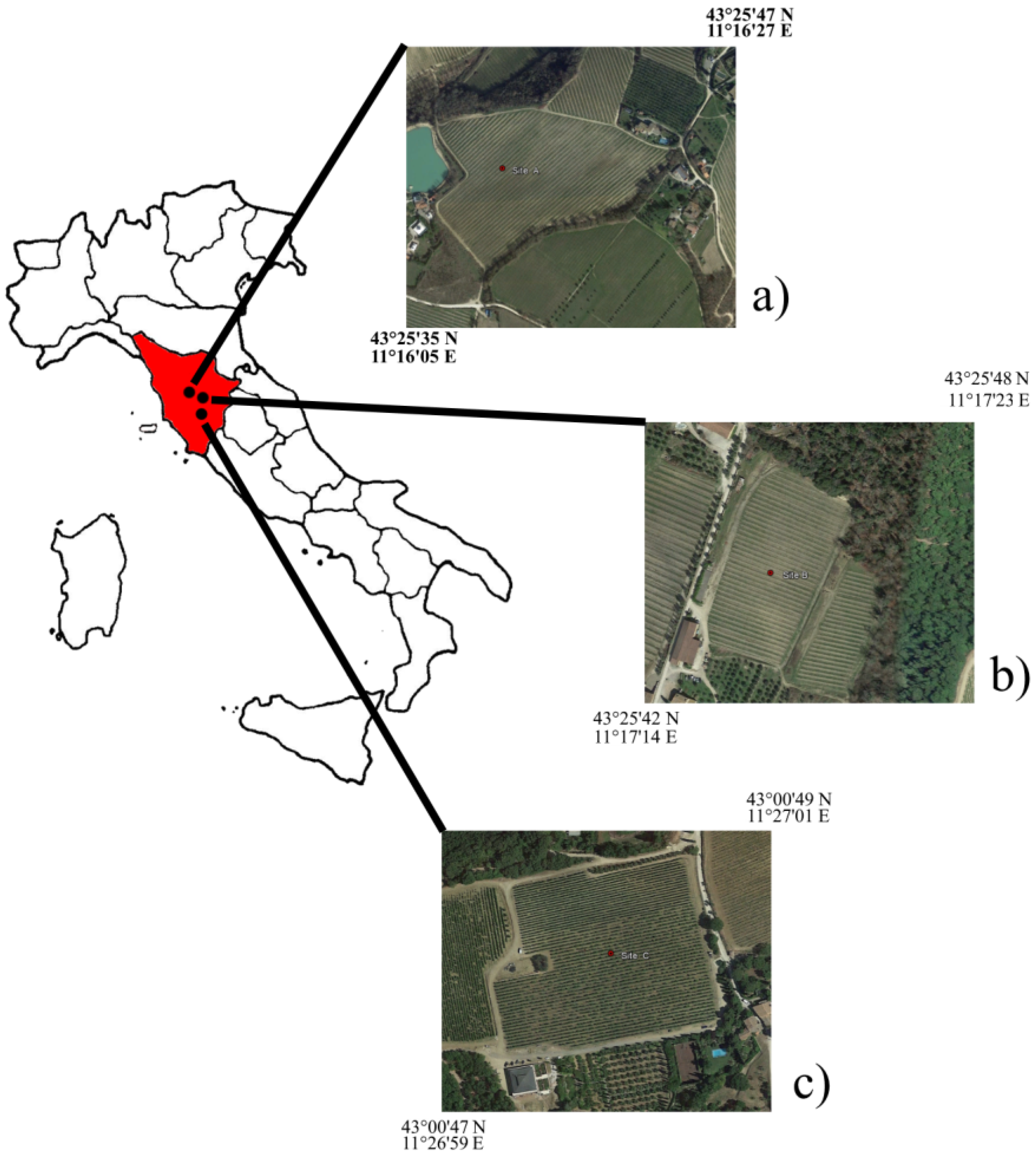 Agriculture 08 00116 g001 Agriculture 08 00116 g001