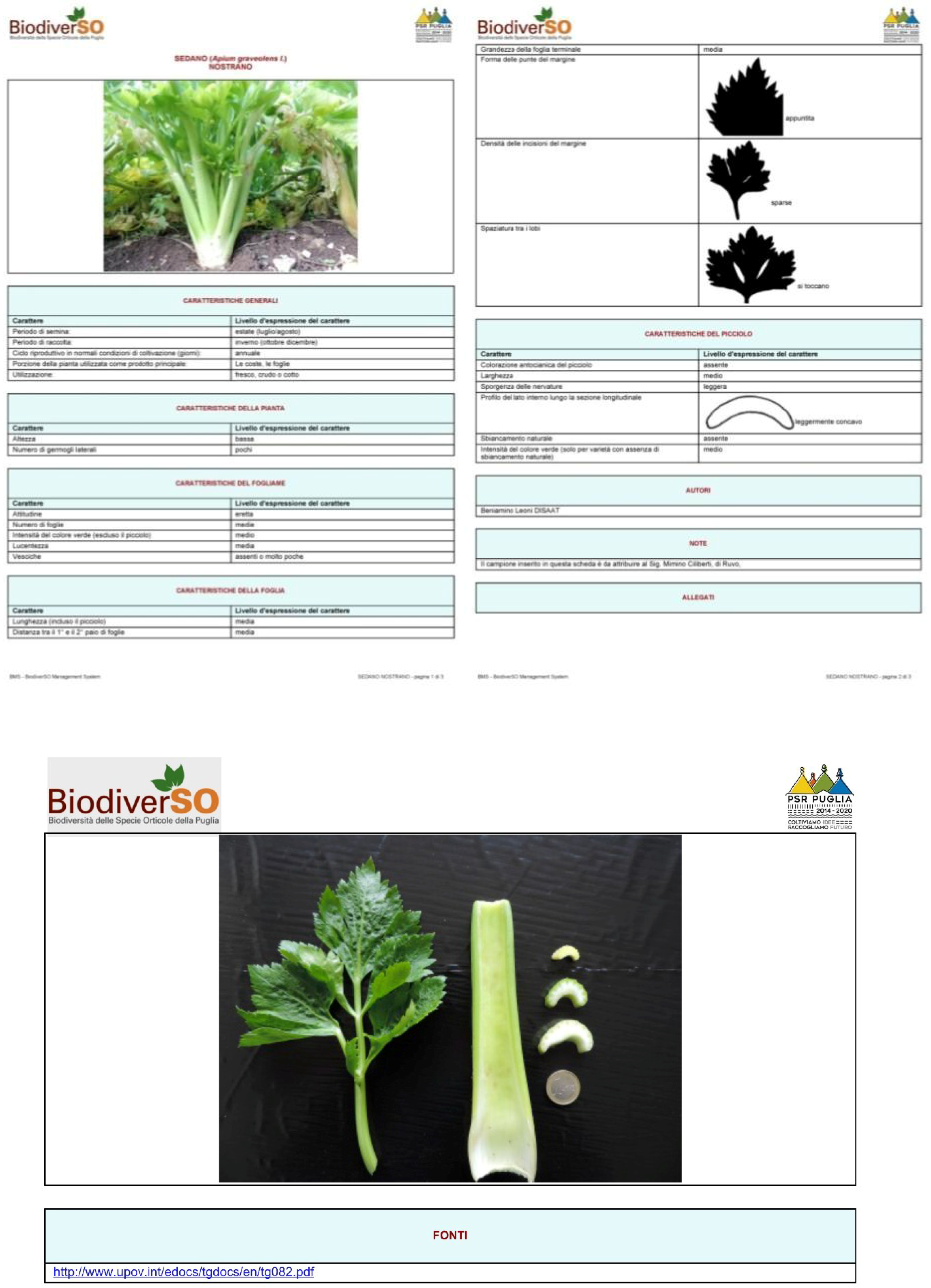 Agriculture 08 00128 g012