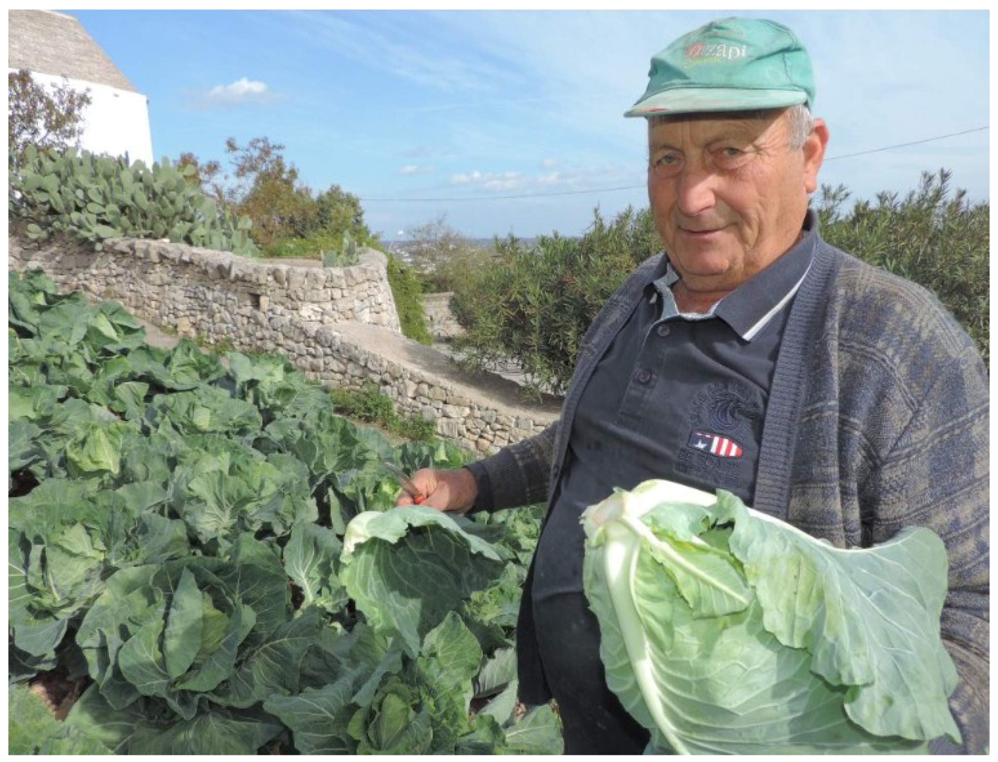 Agriculture 08 00128 g013