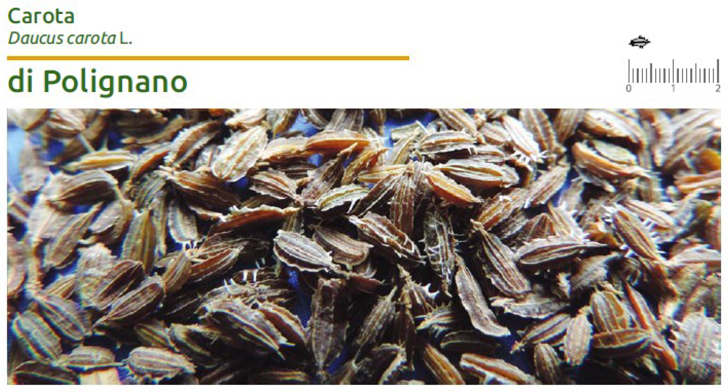 Agriculture 08 00128 g015
