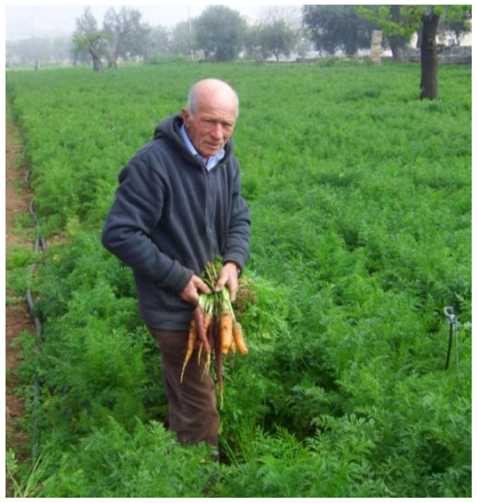 Agriculture 08 00128 g018
