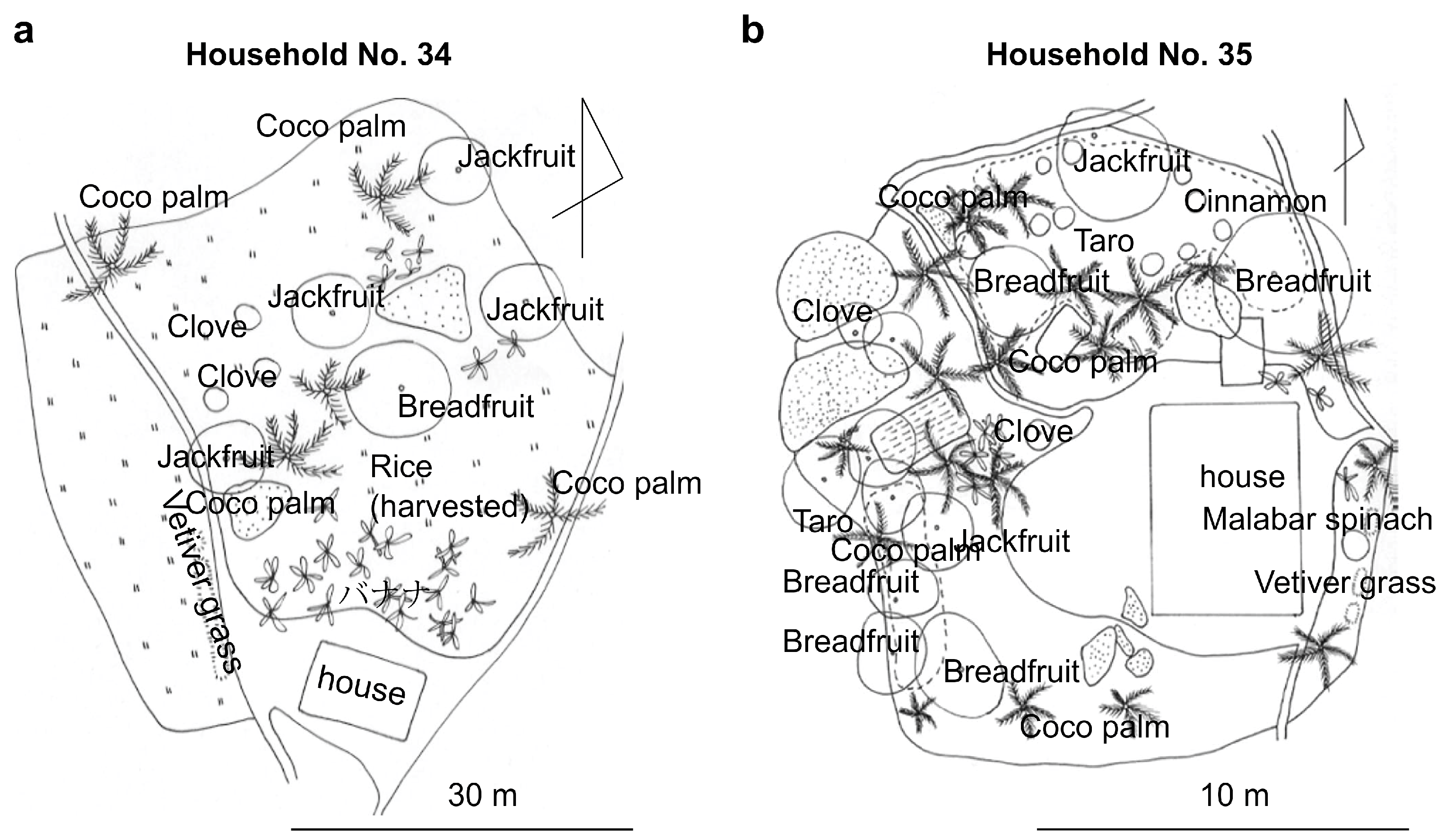 Agriculture 08 00141 g002 Agriculture 08 00141 g002