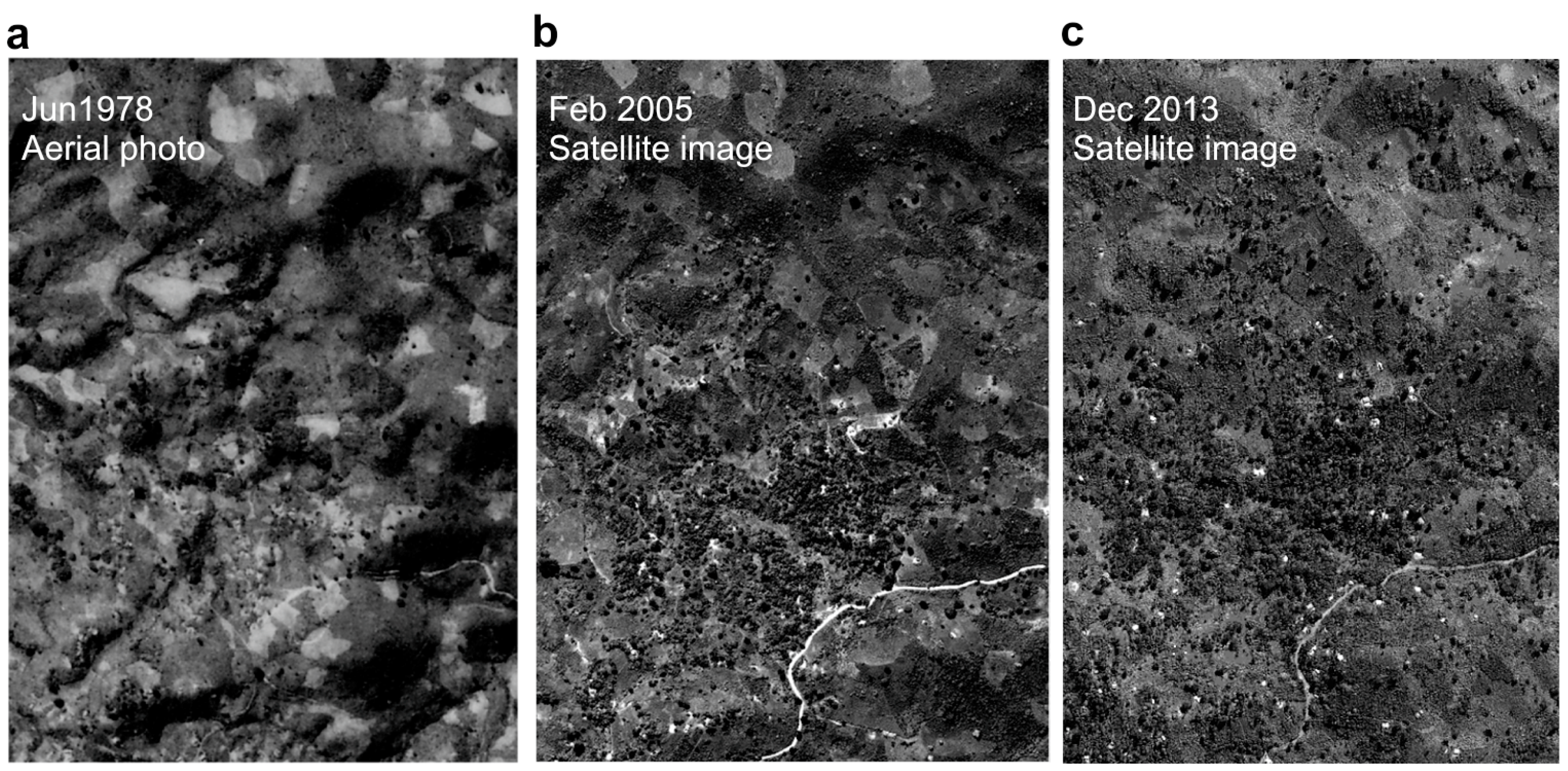 Agriculture 08 00141 g004 Agriculture 08 00141 g004