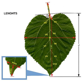 Agriculture 08 00157 i001