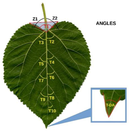 Agriculture 08 00157 i002