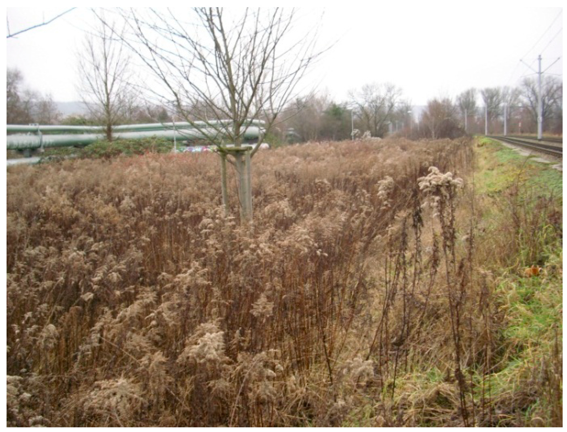 Agriculture 08 00170 g001