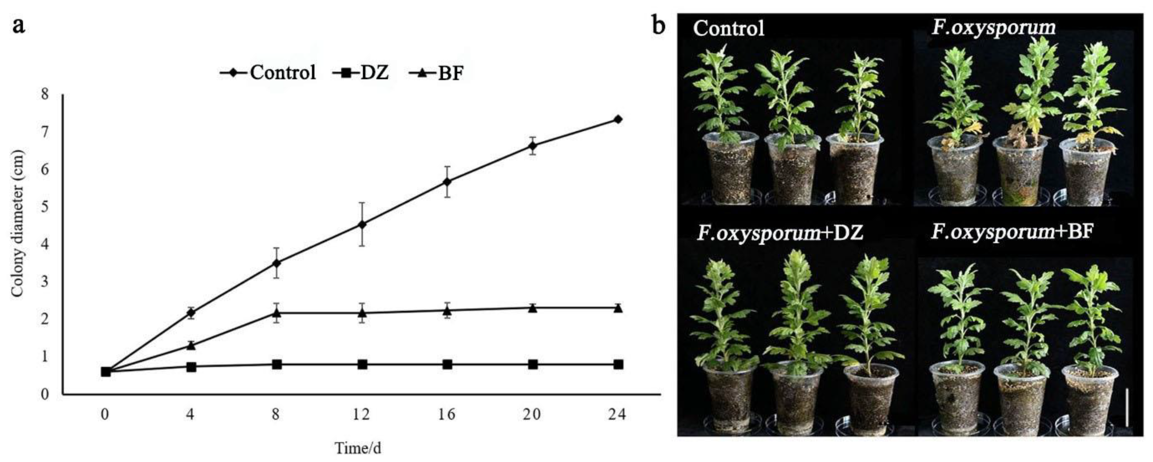 Agriculture 08 00184 g001