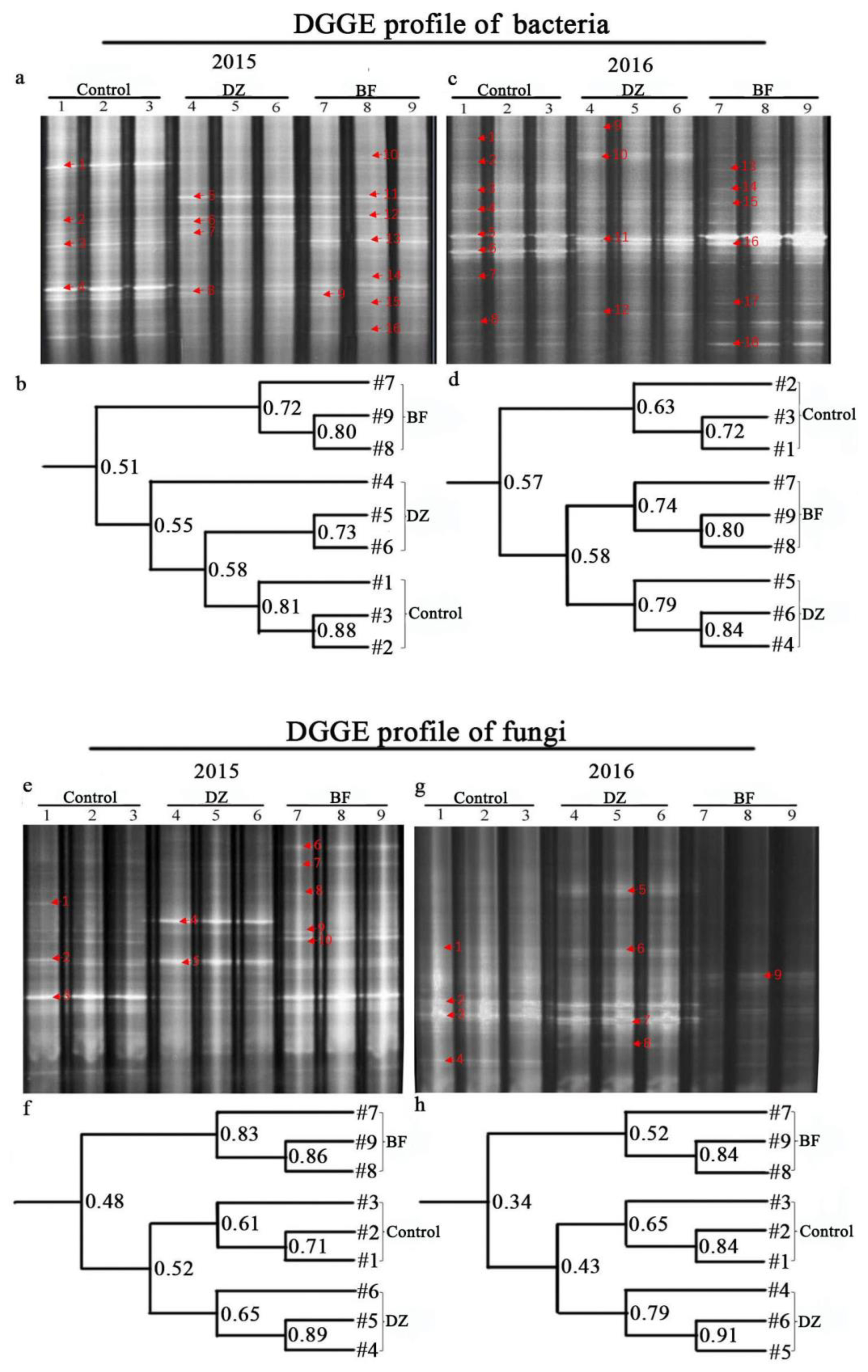 Agriculture 08 00184 g004