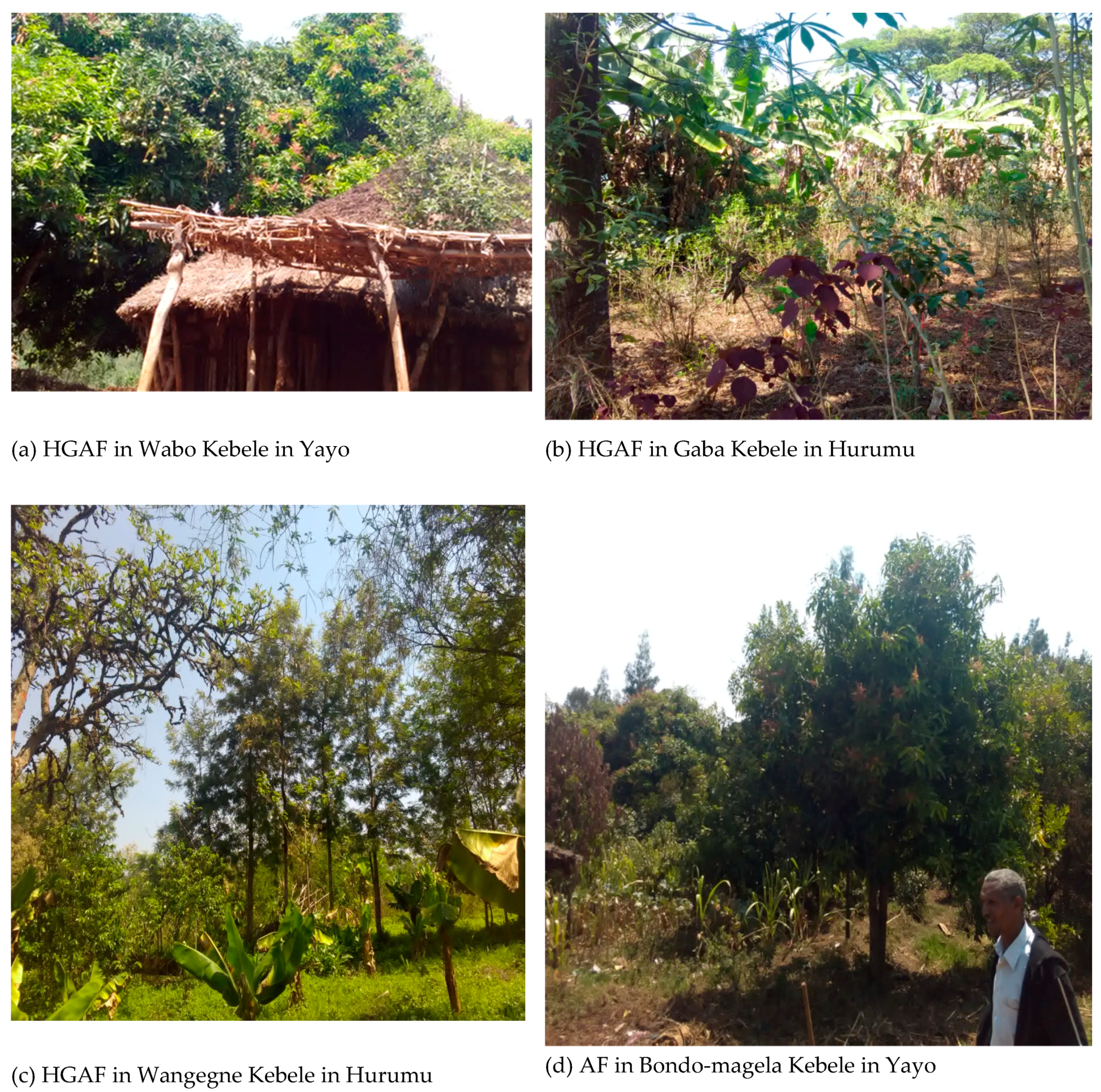 Agriculture 08 00190 g002 550