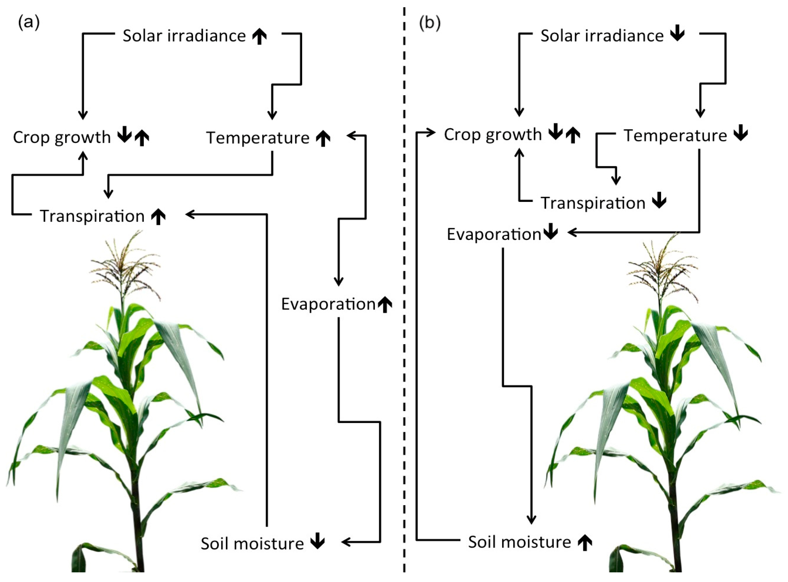 Agriculture 09 00006 g001 Agriculture 09 00006 g001