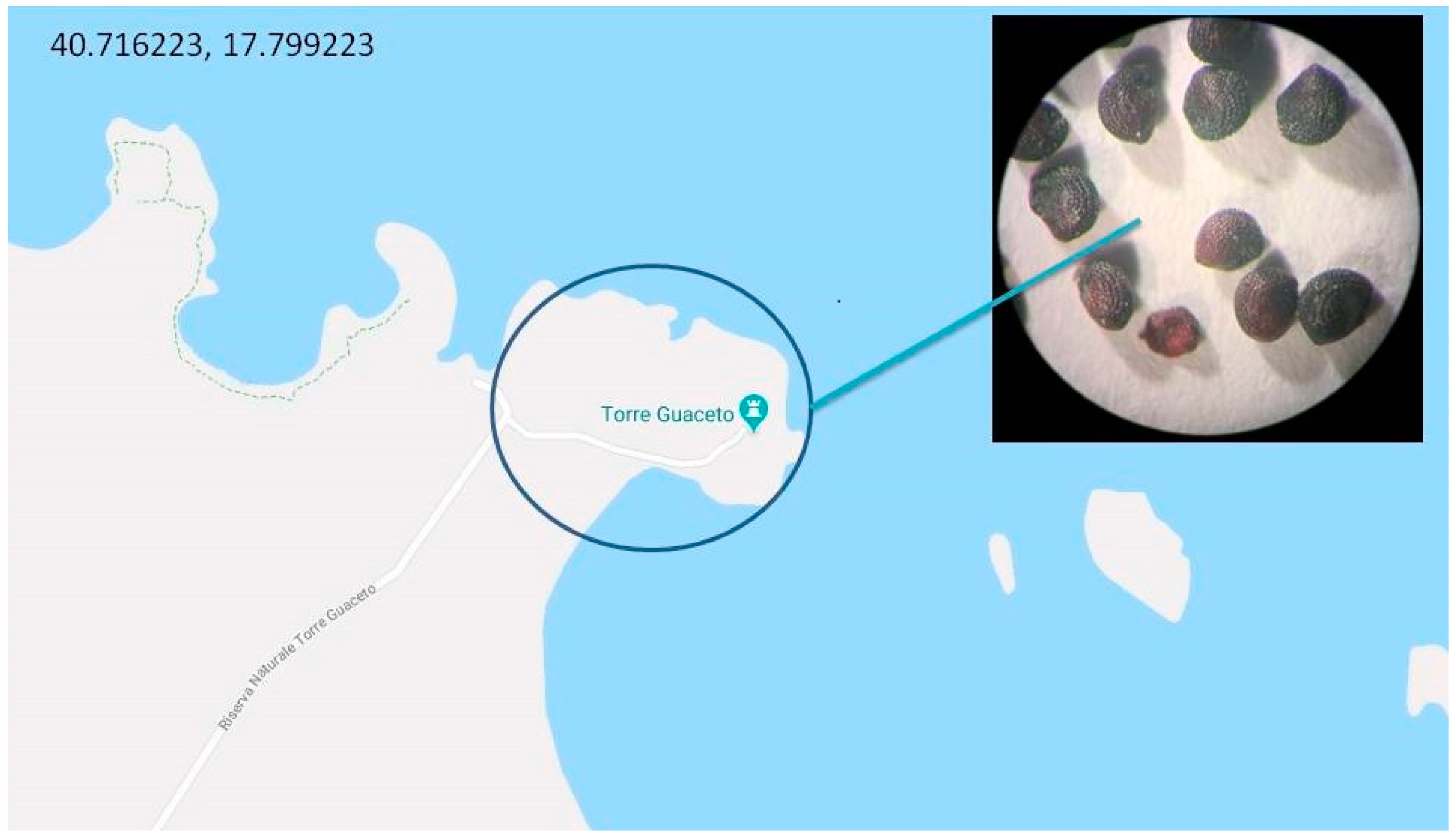 Agriculture 09 00014 g002