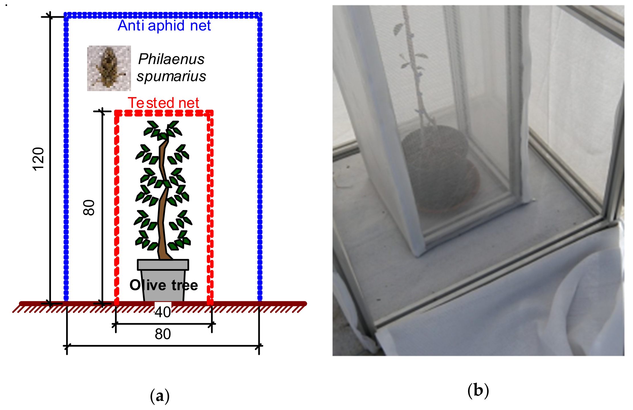 Agriculture 09 00032 g002 550
