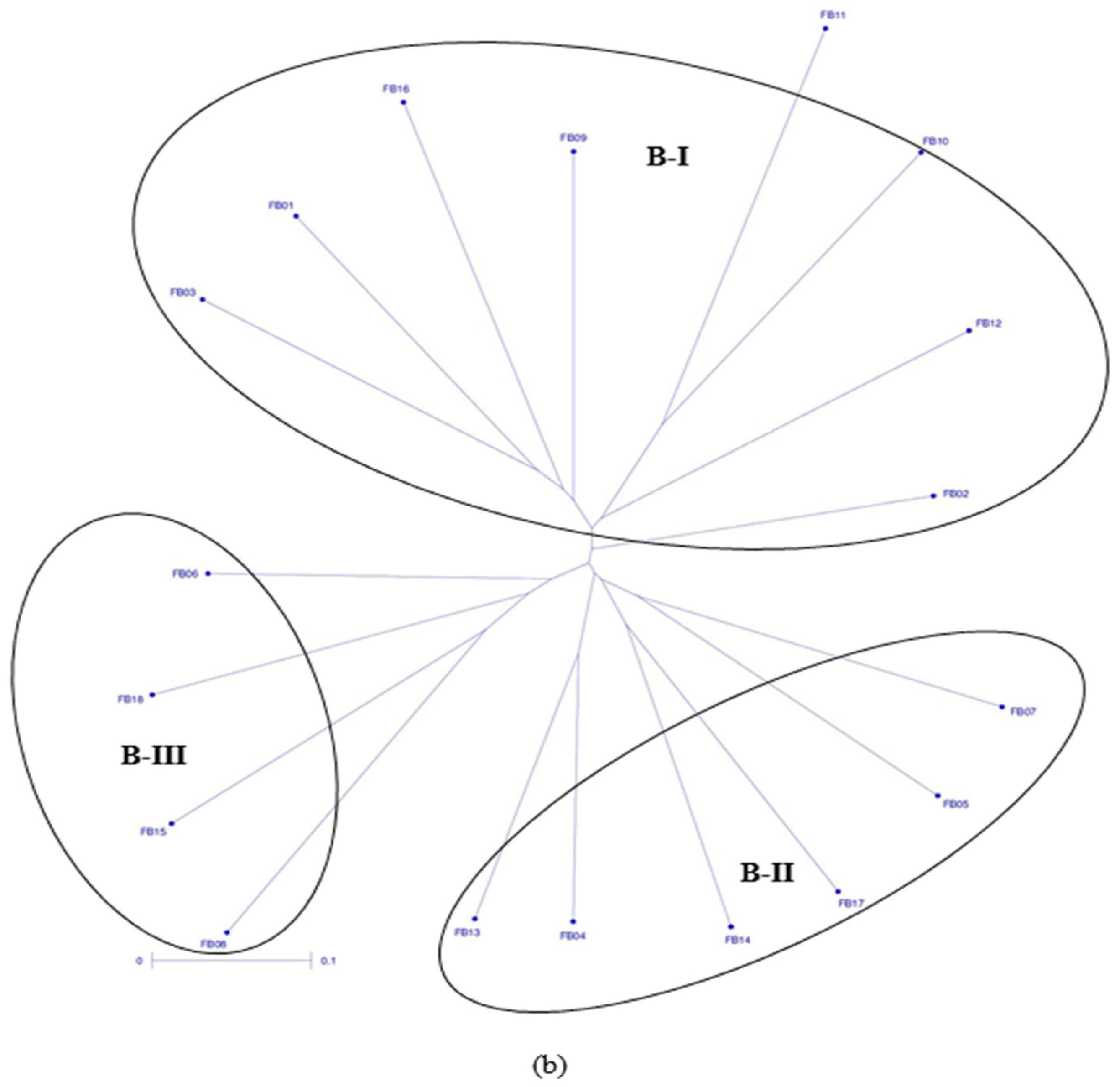 Agriculture 09 00097 g001b Agriculture 09 00097 g001b