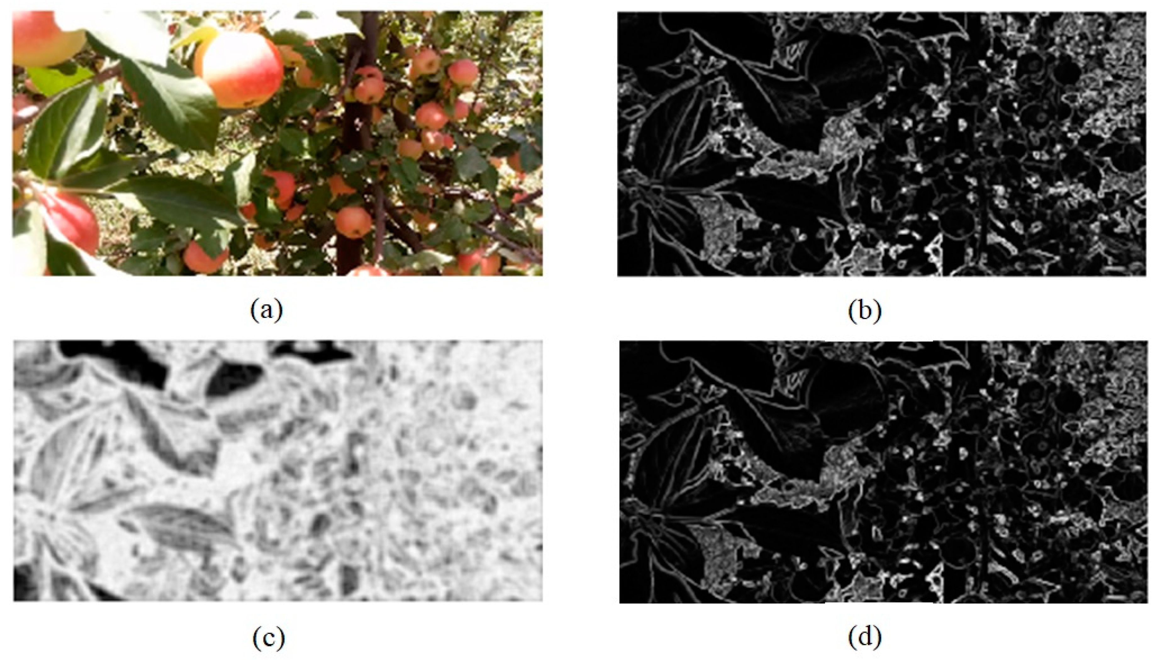 Agriculture 09 00104 g003