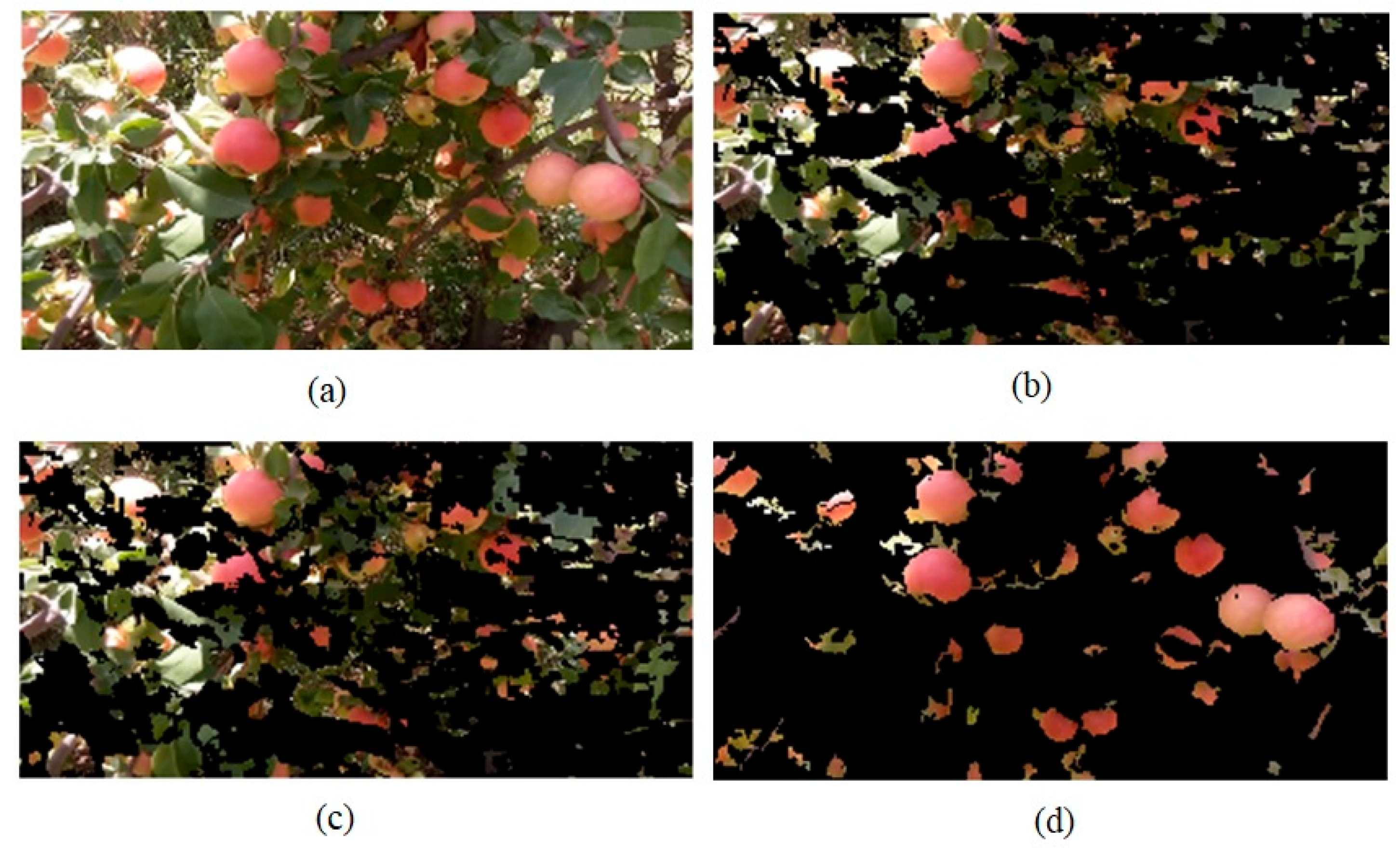 Agriculture 09 00104 g005