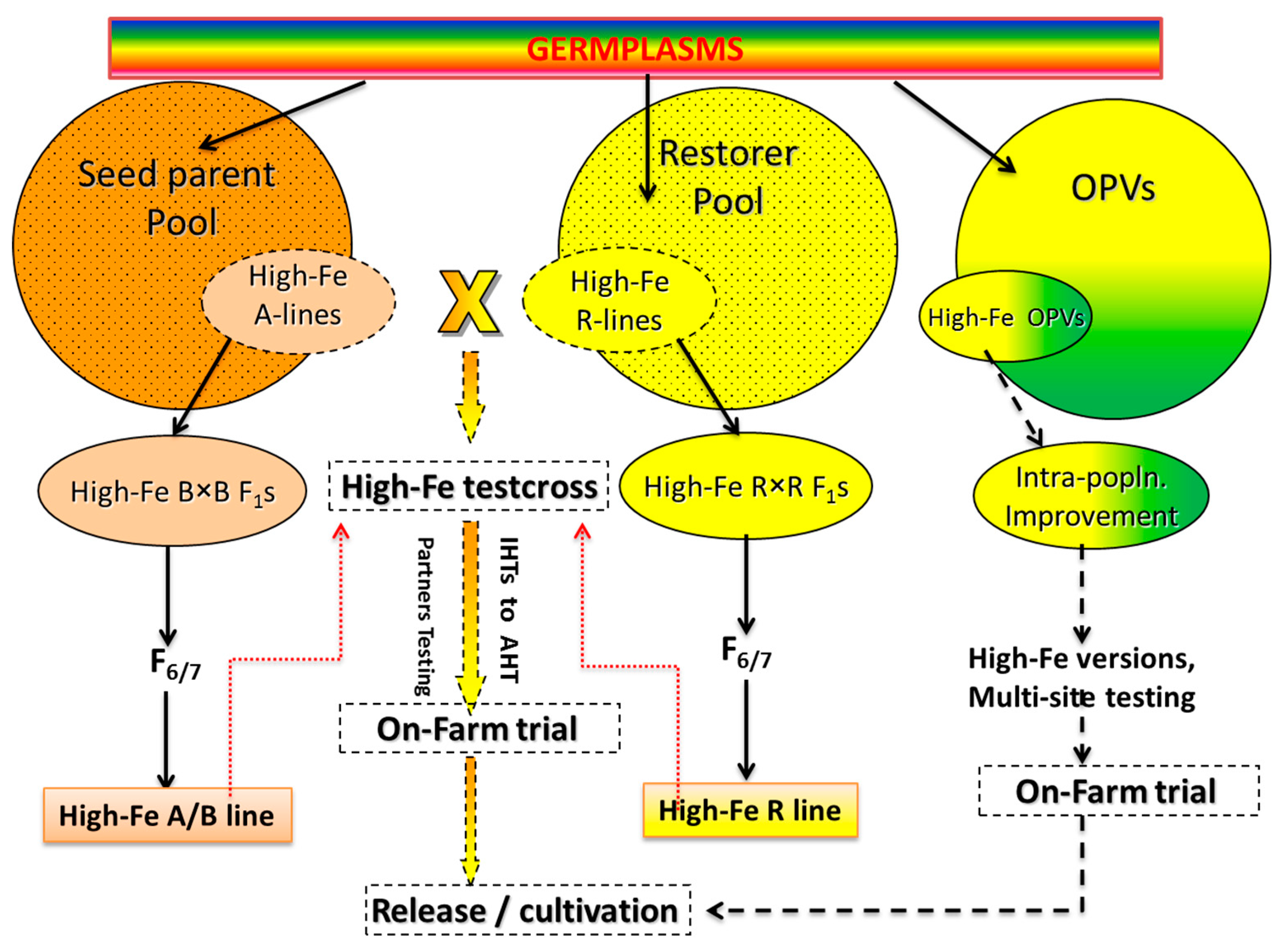 Agriculture 09 00106 g001 Agriculture 09 00106 g001