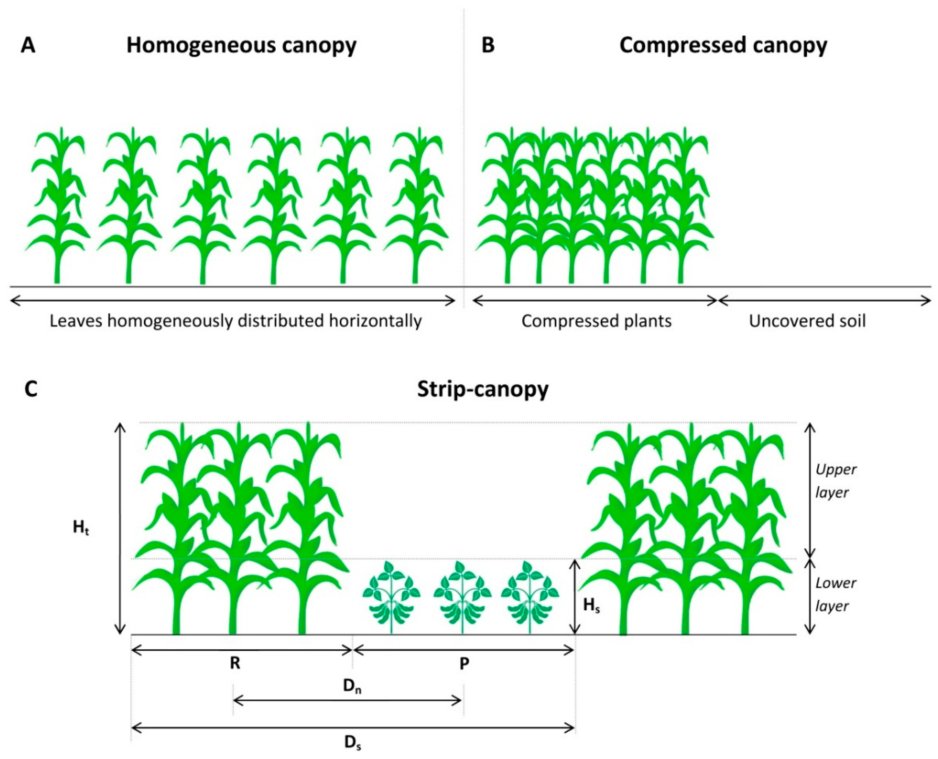 Agriculture 09 00126 g002 Agriculture 09 00126 g002