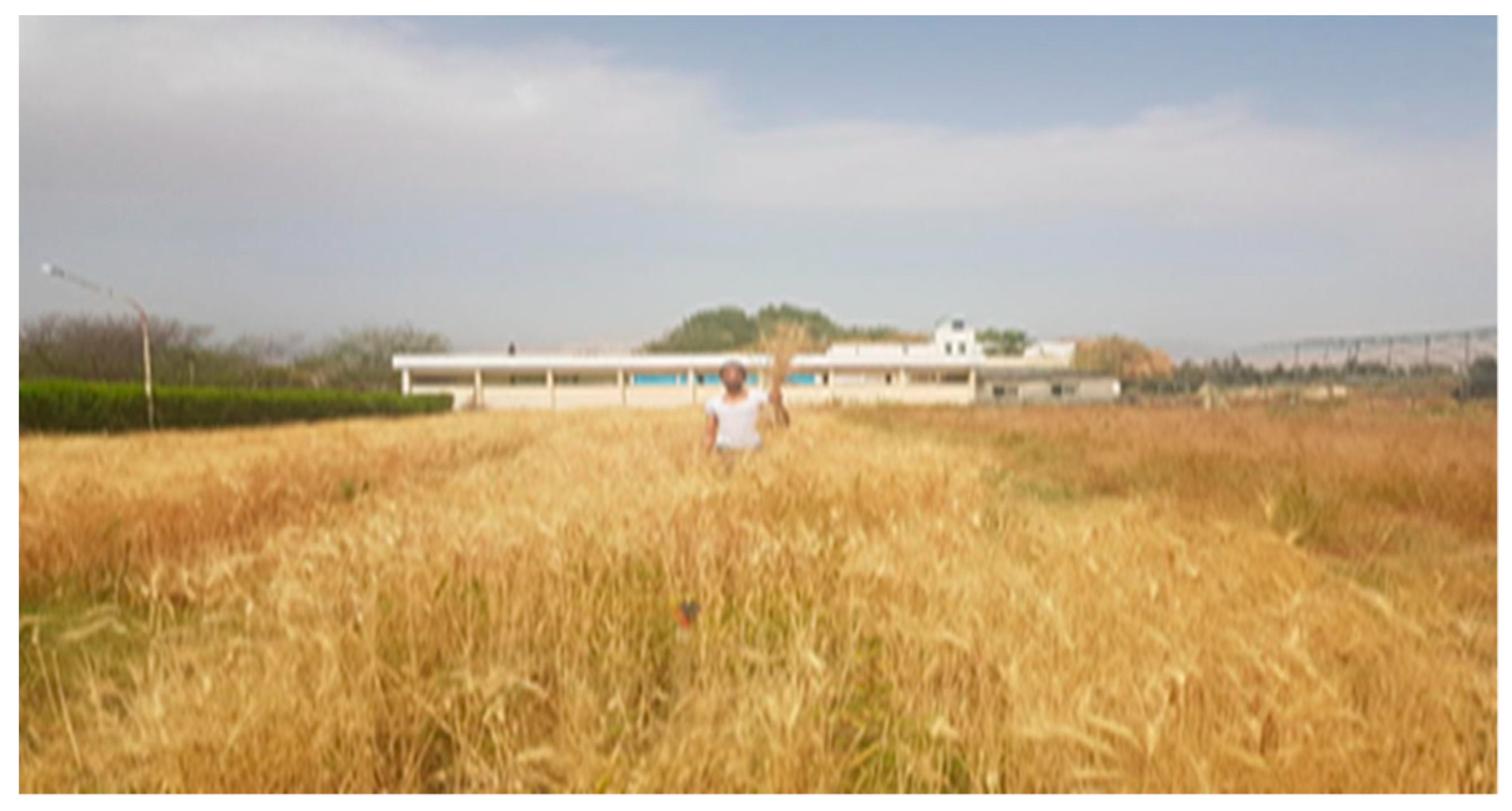 Agriculture 09 00135 g001